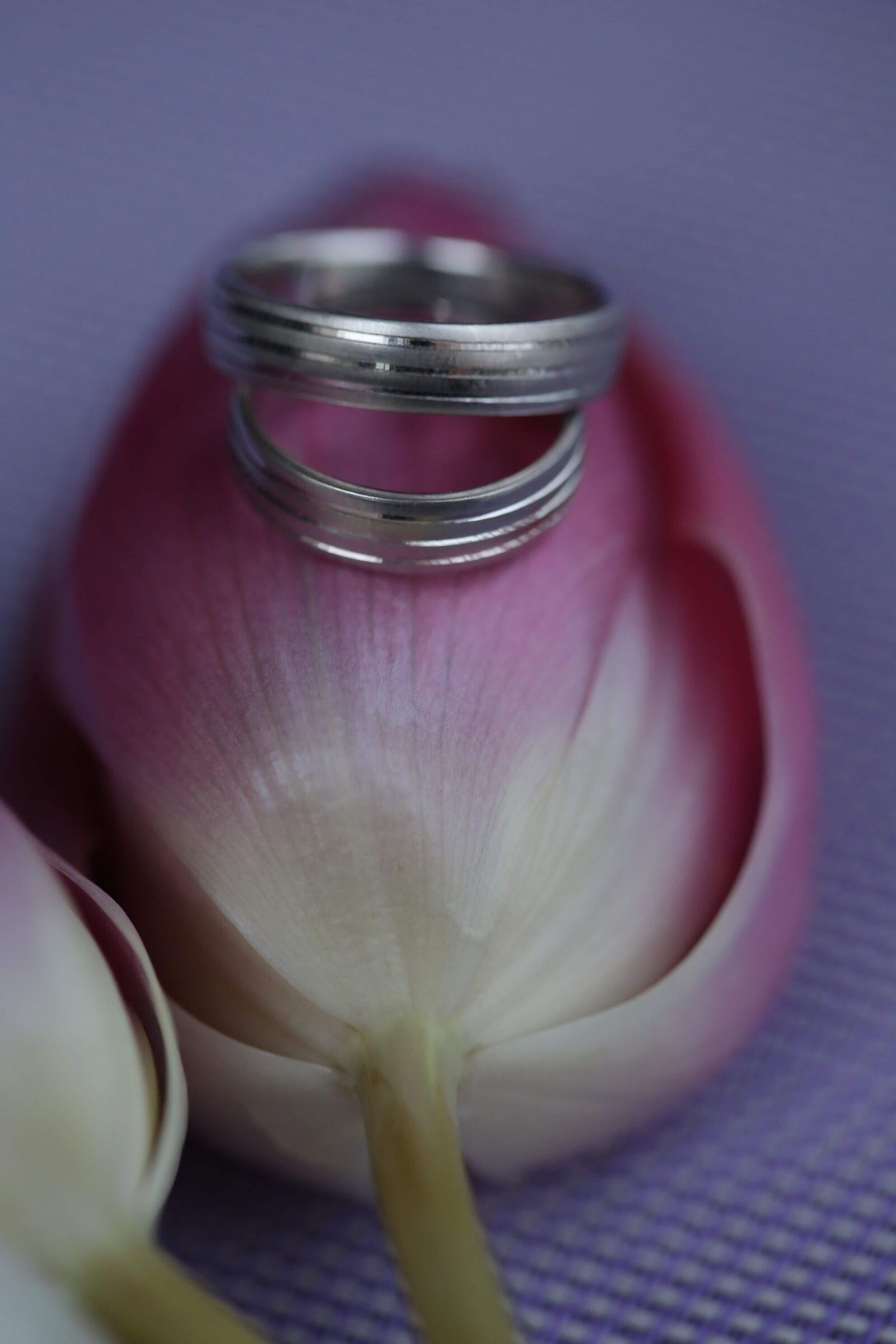 Canon EF 100mm F2.8 Macro USM sample photo. Elegance, gold, petals, rings photography