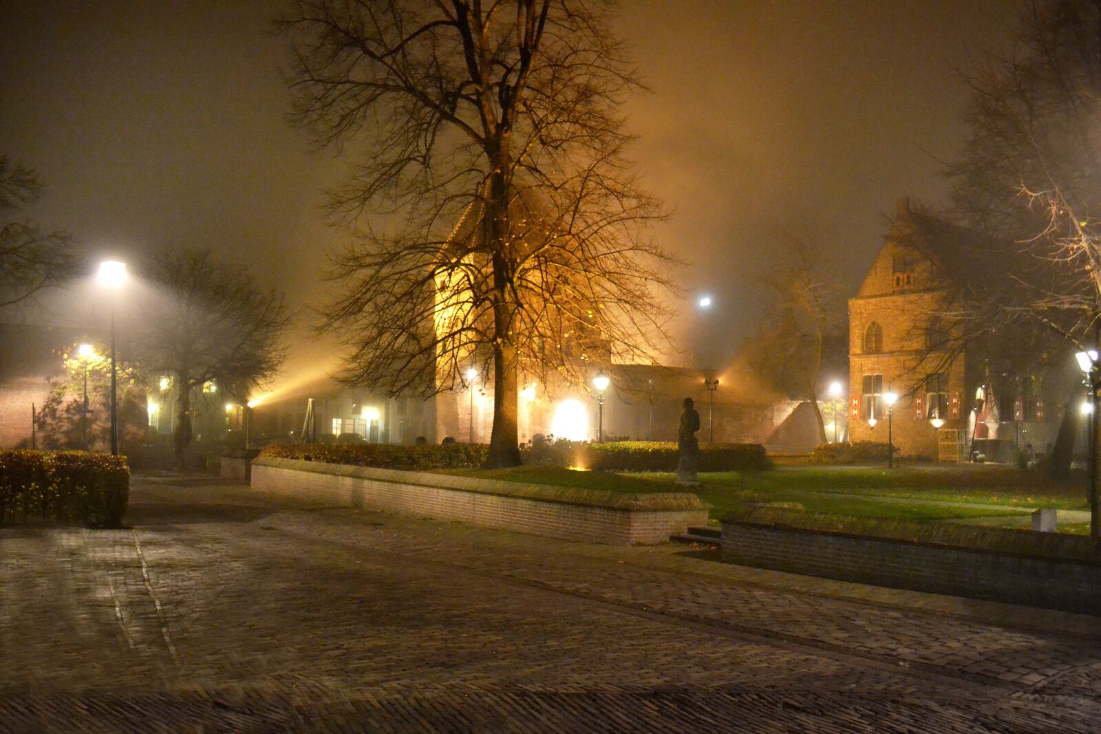 Nikon D3100 sample photo. Zwolle, center, november photography