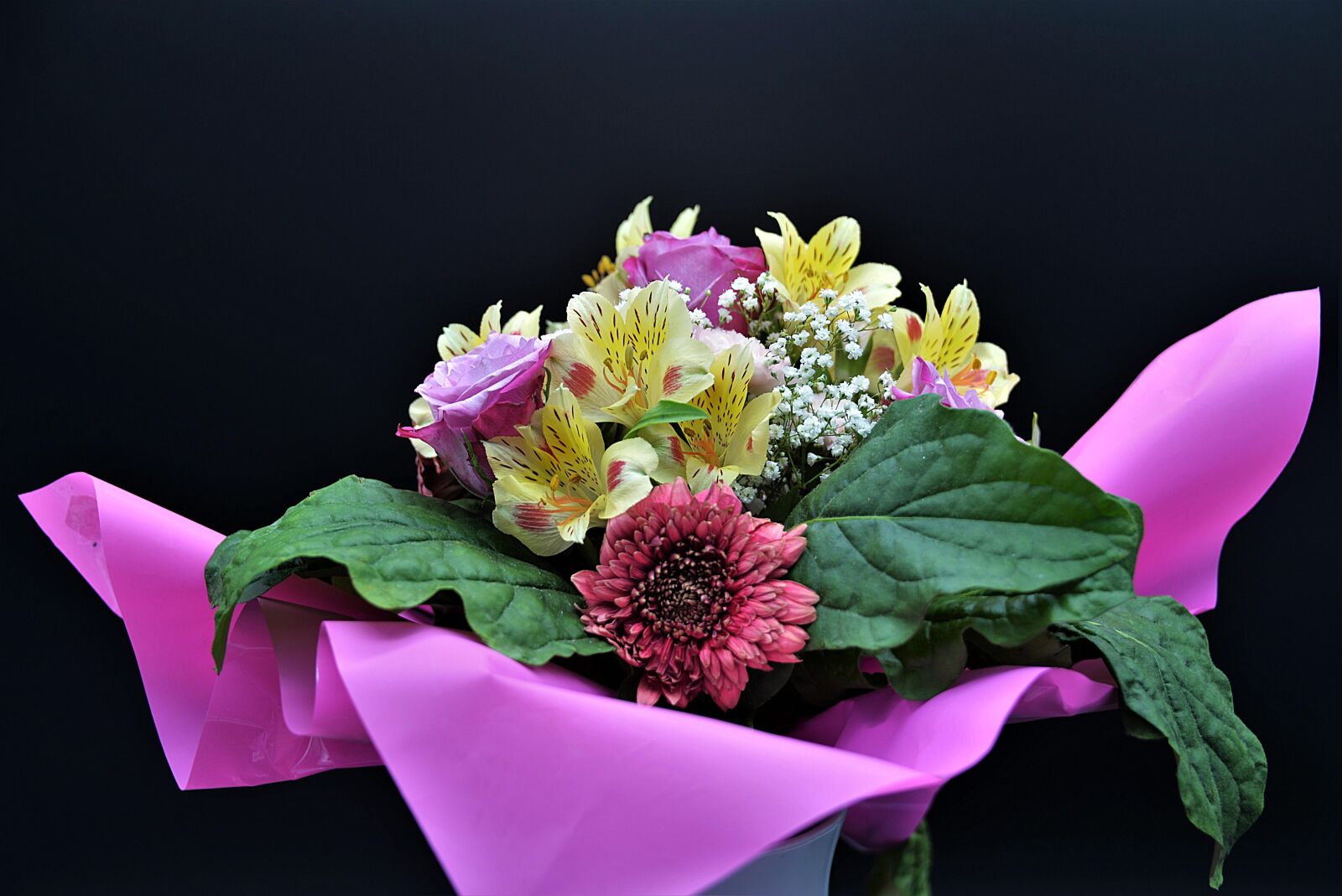 Nikon D610 sample photo. A bunch of flowers photography