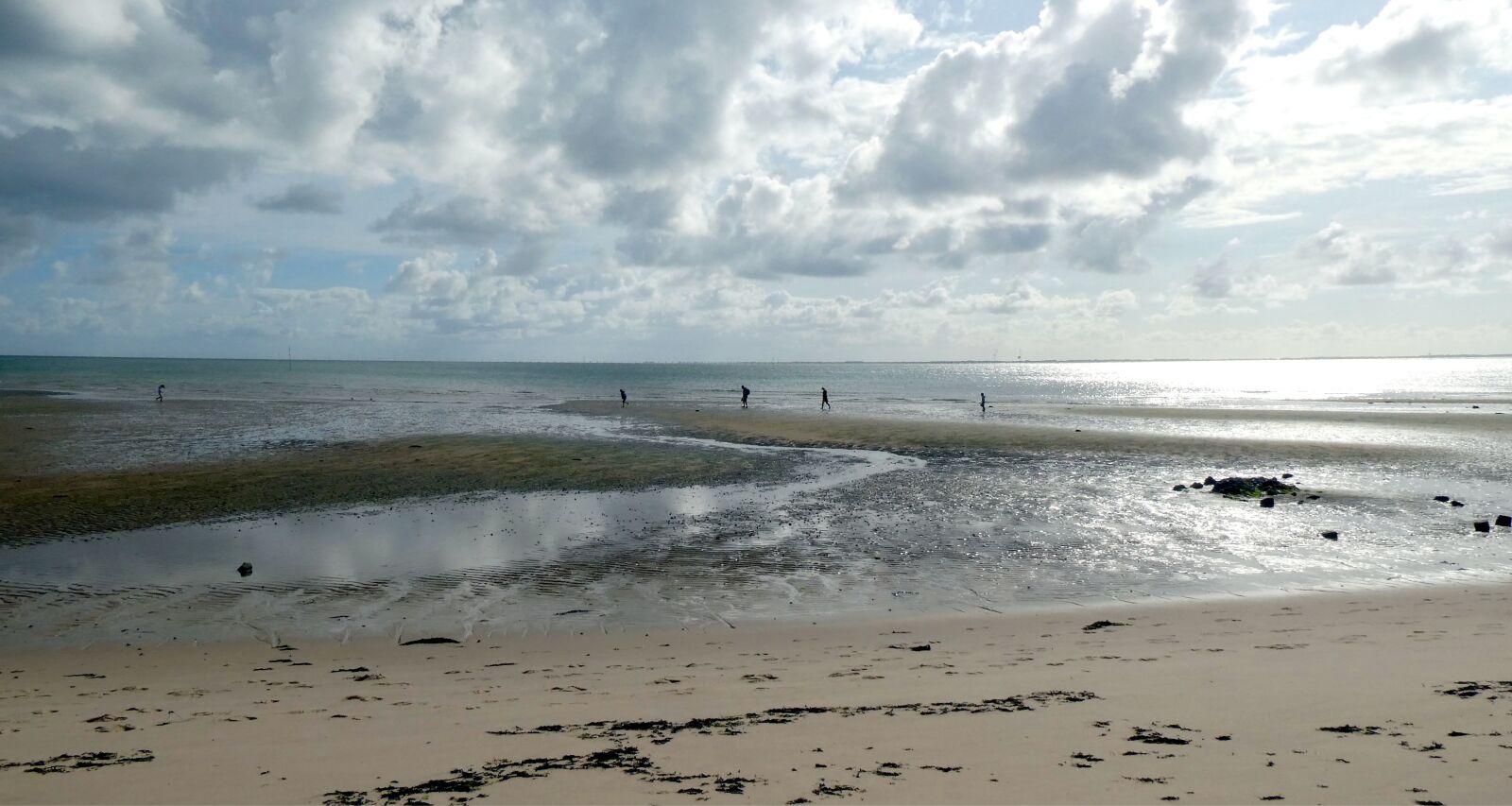 Panasonic DC-TZ91 sample photo. Watts, ebb, tides photography