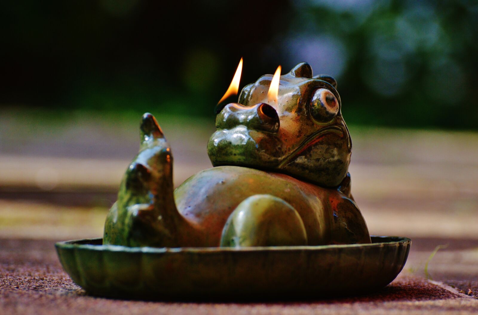 Nikon D3200 sample photo. Dragon, fire, nostrils photography