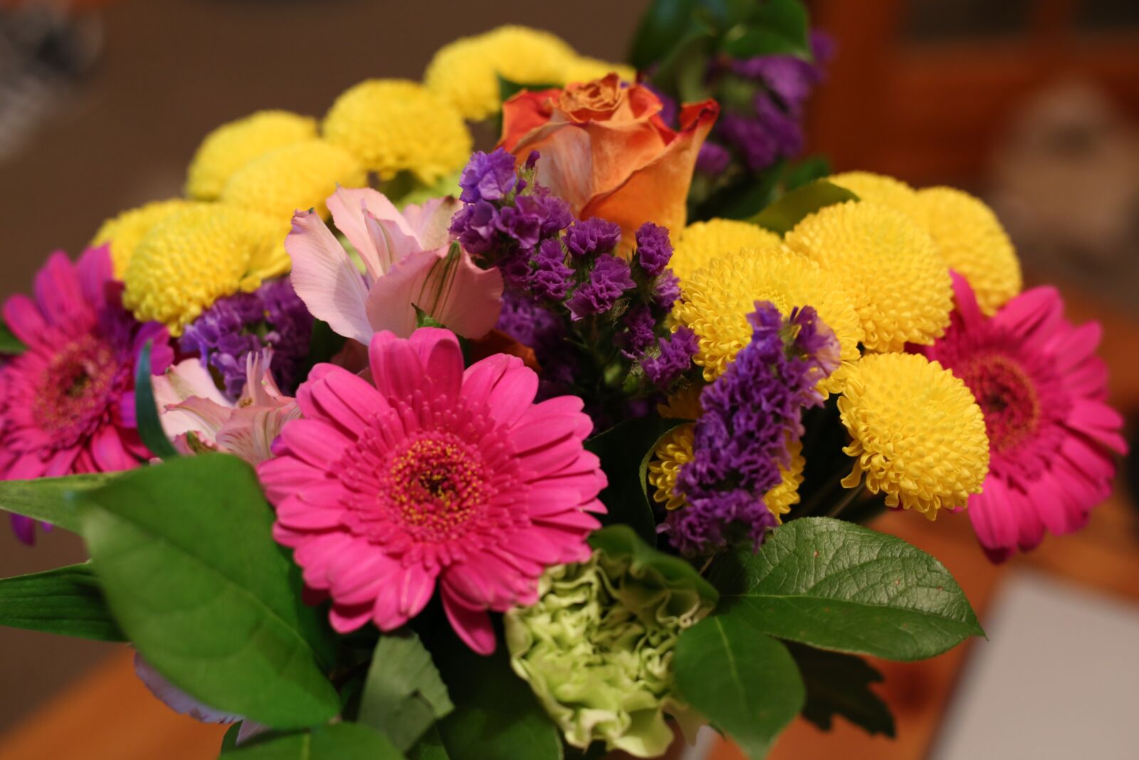 Canon EF 50mm F1.8 STM sample photo. Flowers, bloom, blossom photography