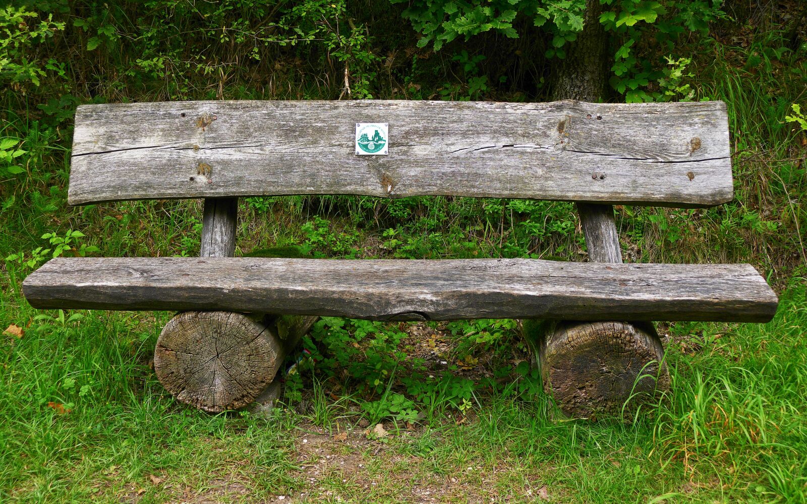 Panasonic Lumix DMC-FZ1000 sample photo. Bank, wooden bench, tranquility photography