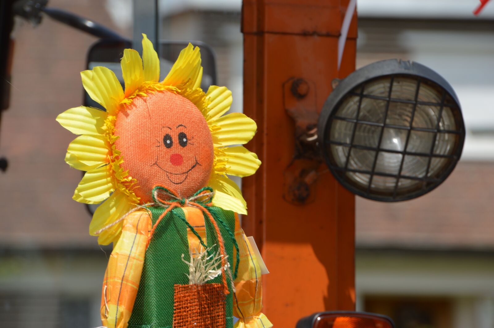 Nikon D3200 sample photo. Decoration, flower, country photography