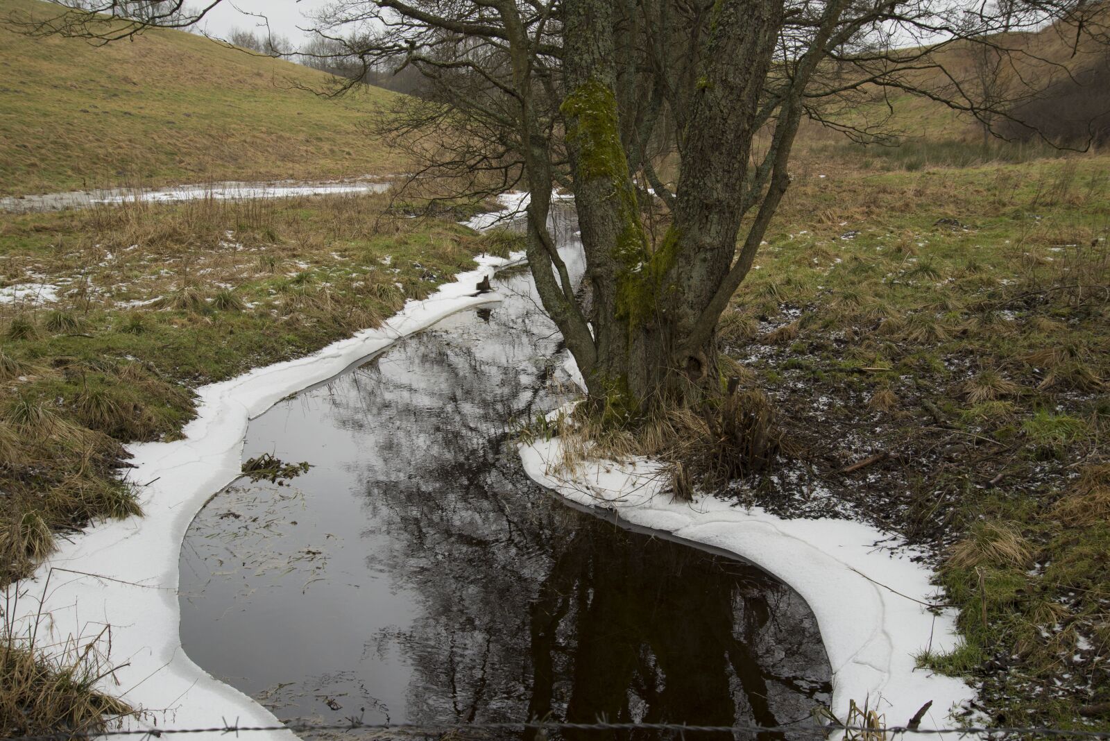 Nikon D800E sample photo. Monolithic part of the photography