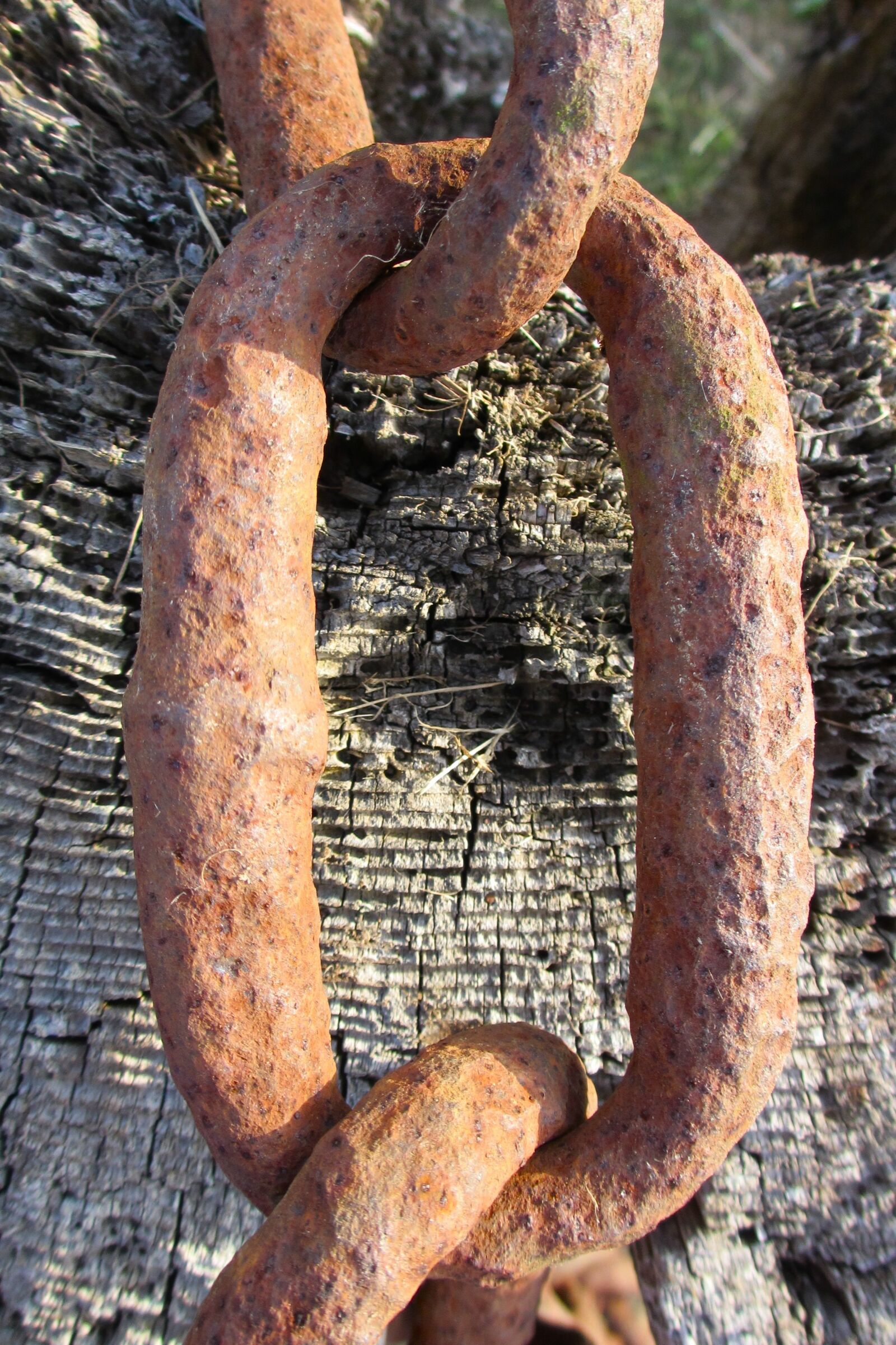 Canon PowerShot ELPH 310 HS (IXUS 230 HS / IXY 600F) sample photo. Rusted chain, link, iron photography