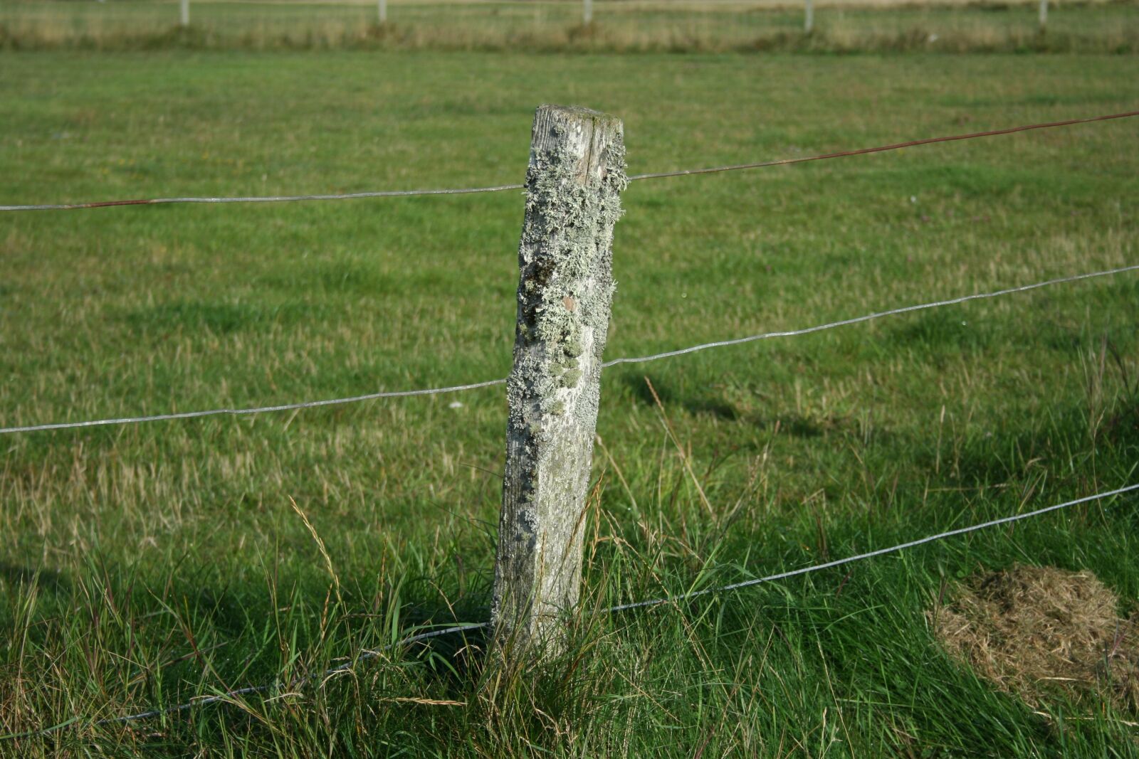 Canon EOS 350D (EOS Digital Rebel XT / EOS Kiss Digital N) sample photo. Dornoch, scotland, landscape photography