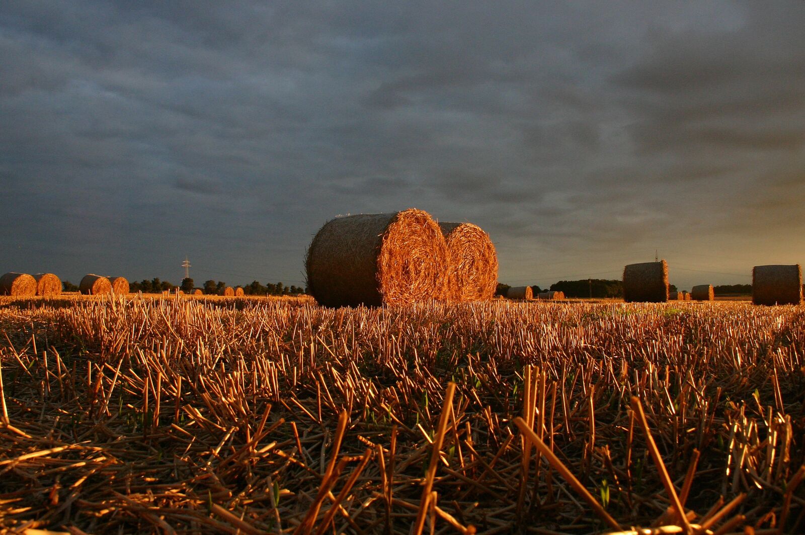 Canon EOS 300D (EOS Digital Rebel / EOS Kiss Digital) sample photo. Summer, straw, field photography