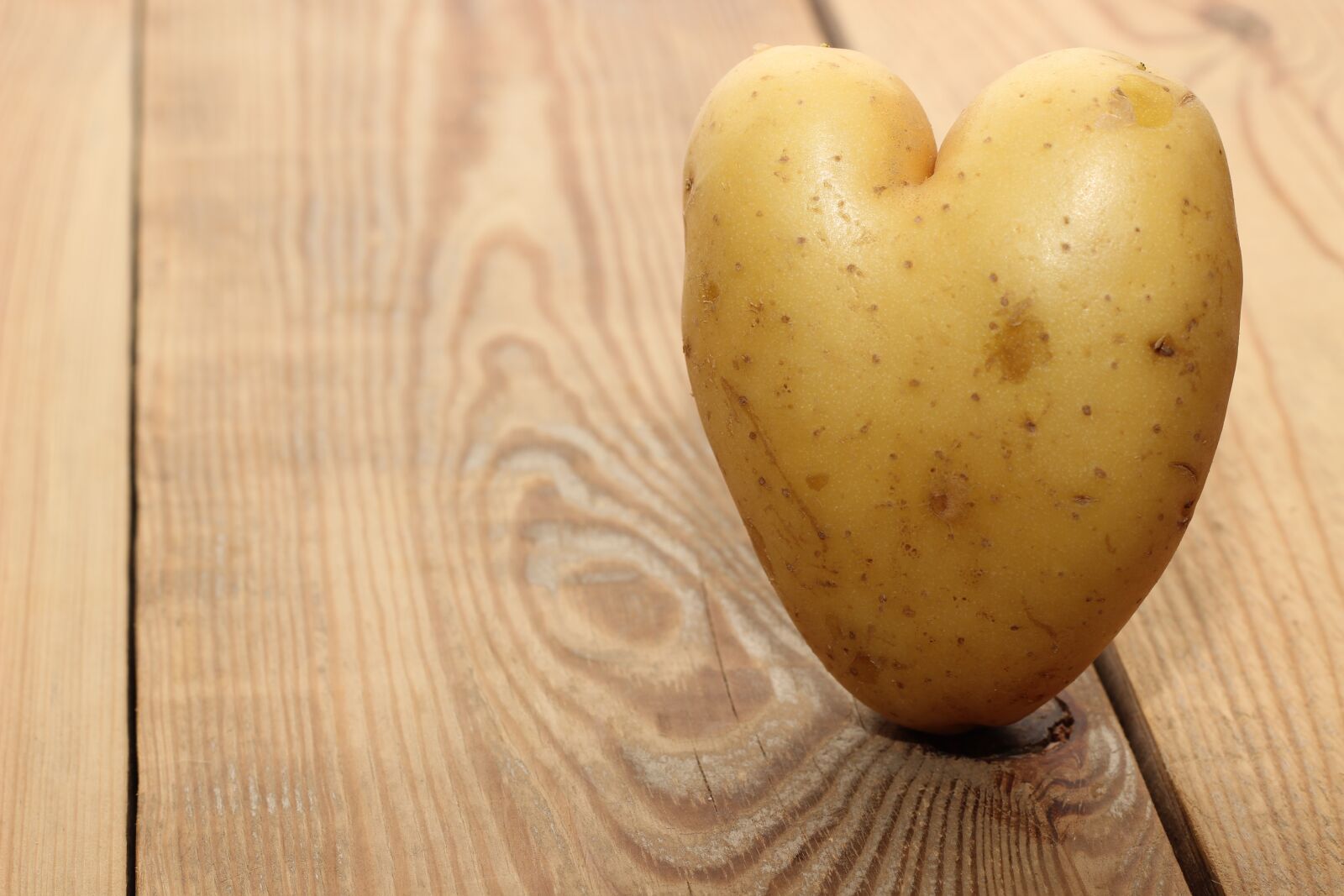 Canon EOS 600D (Rebel EOS T3i / EOS Kiss X5) + Canon EF 50mm F1.8 II sample photo. Wood, heart, heart shape photography