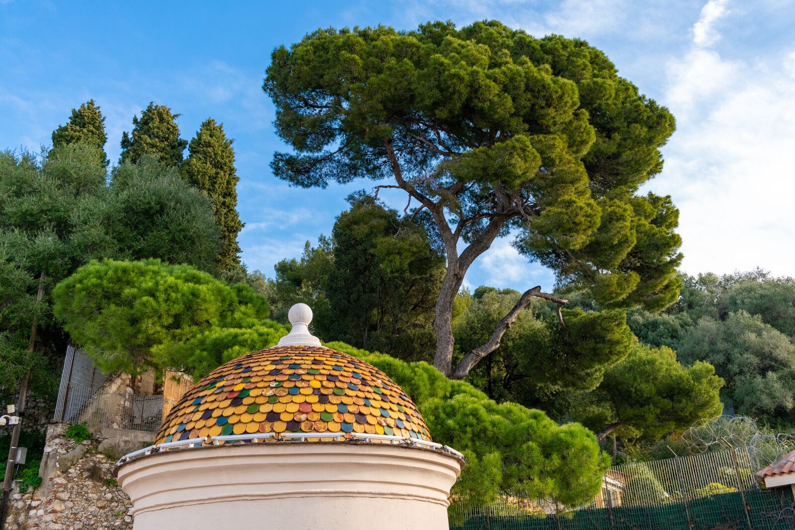 Nikon D5600 sample photo. France, roof, tree photography