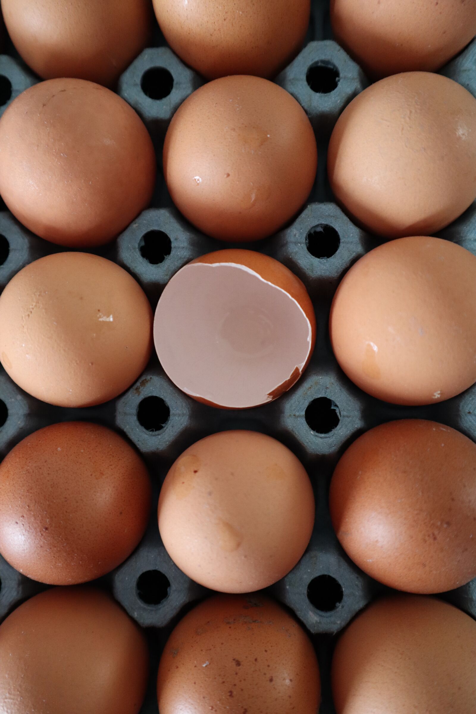 Canon EOS M50 (EOS Kiss M) sample photo. Egg, egg cup, paperboard photography
