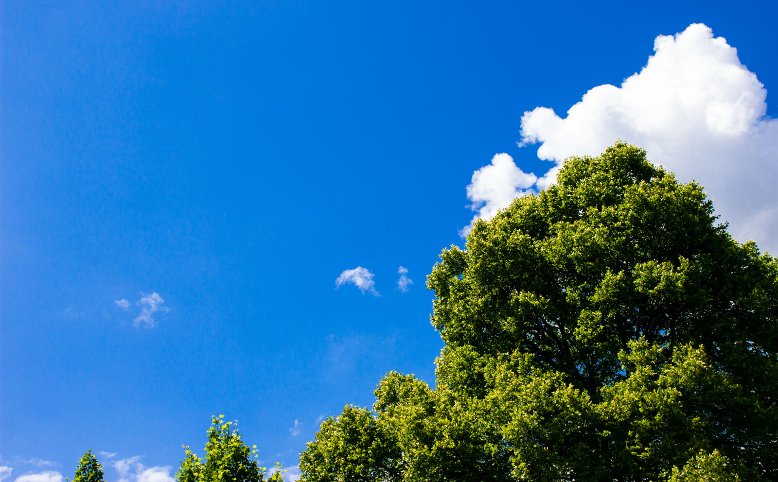 Canon EOS 600D (Rebel EOS T3i / EOS Kiss X5) sample photo. Blue, cloud, green, simple photography