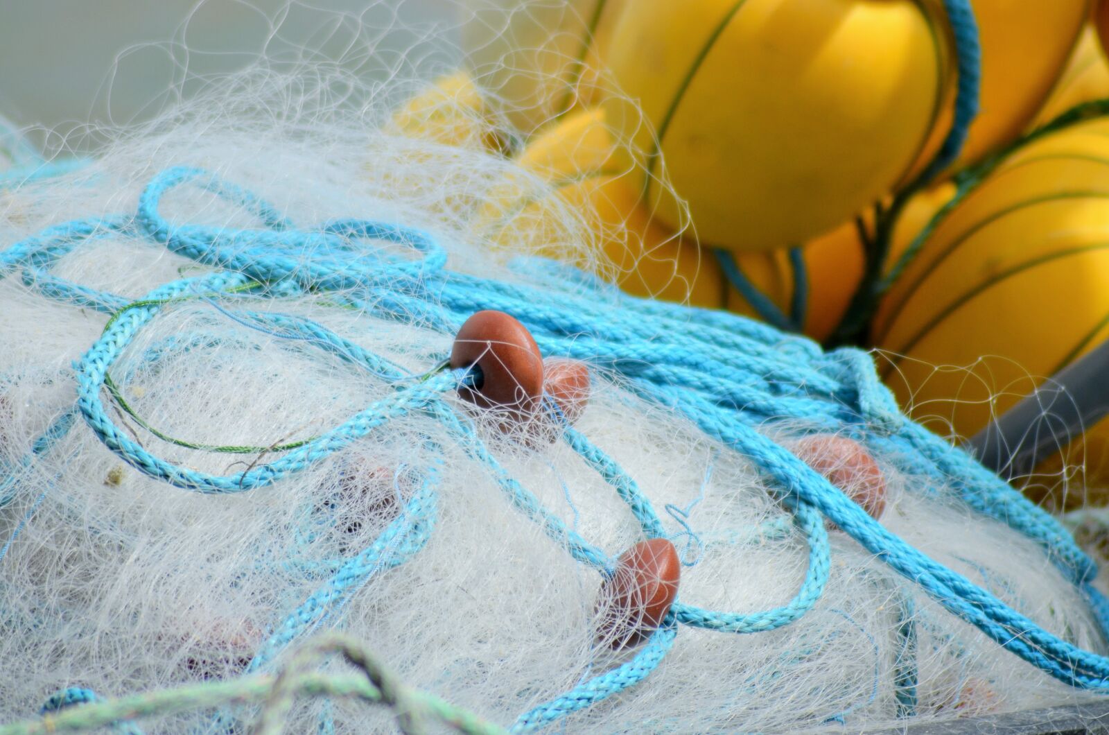 Nikon D5100 sample photo. Buoy, float, net photography