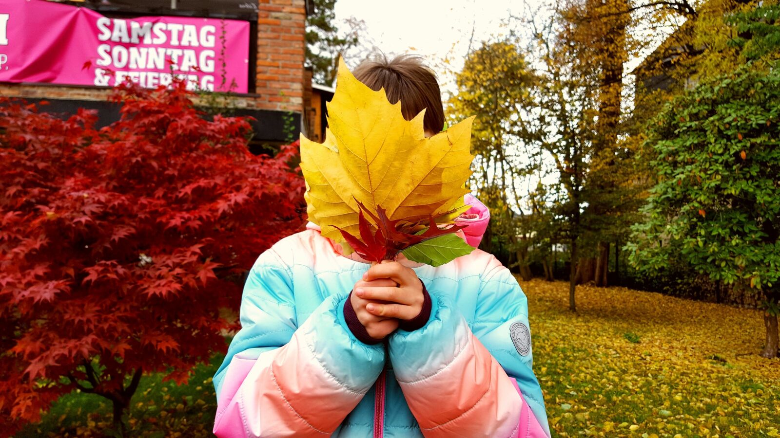 Samsung GALAXY S6 edge sample photo. Child, girl, autumn photography
