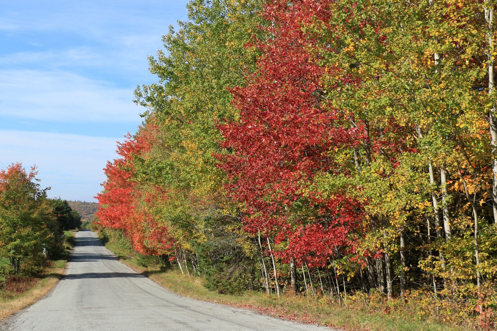 Canon EOS 7D Mark II sample photo. Fall, travel, autumn photography
