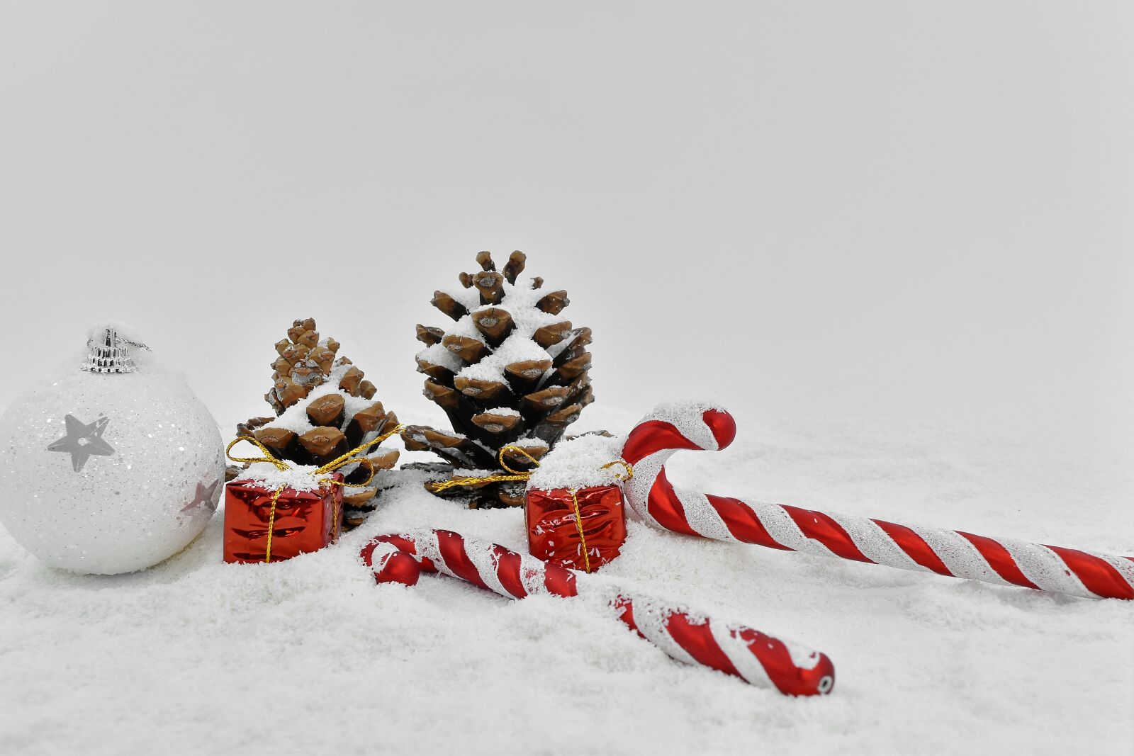 Nikon D5500 sample photo. Catholic, christmas, decoration, religious photography