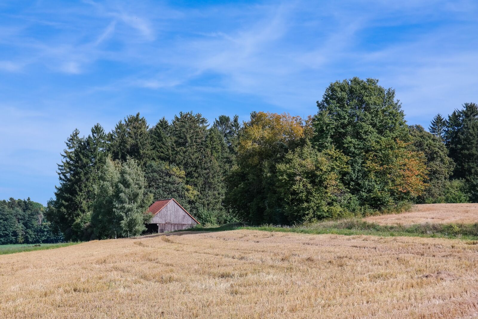 Samsung NX300 sample photo. Field, trees, barn photography