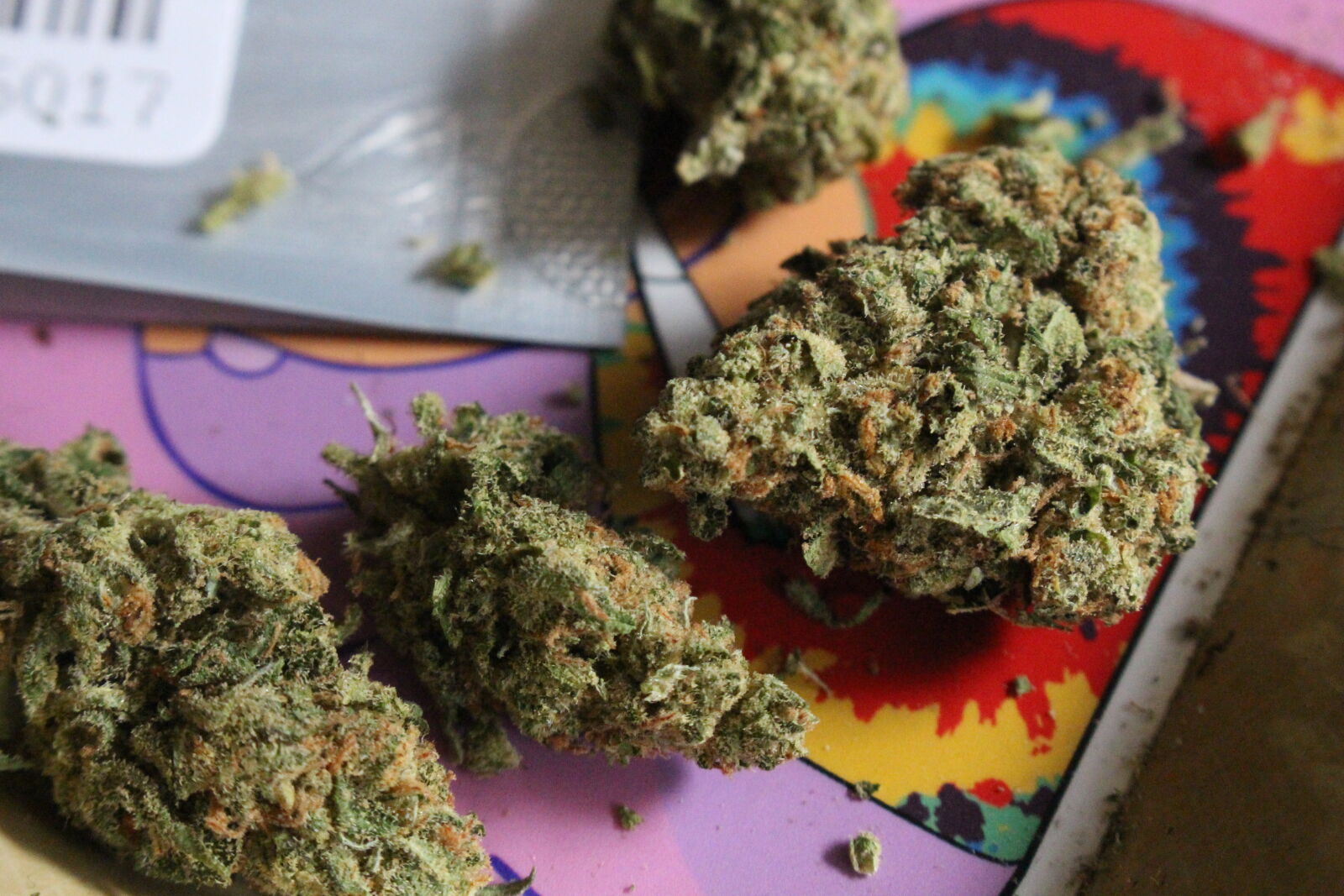 Canon EOS 700D (EOS Rebel T5i / EOS Kiss X7i) sample photo. 420, bud, cannabis, close photography