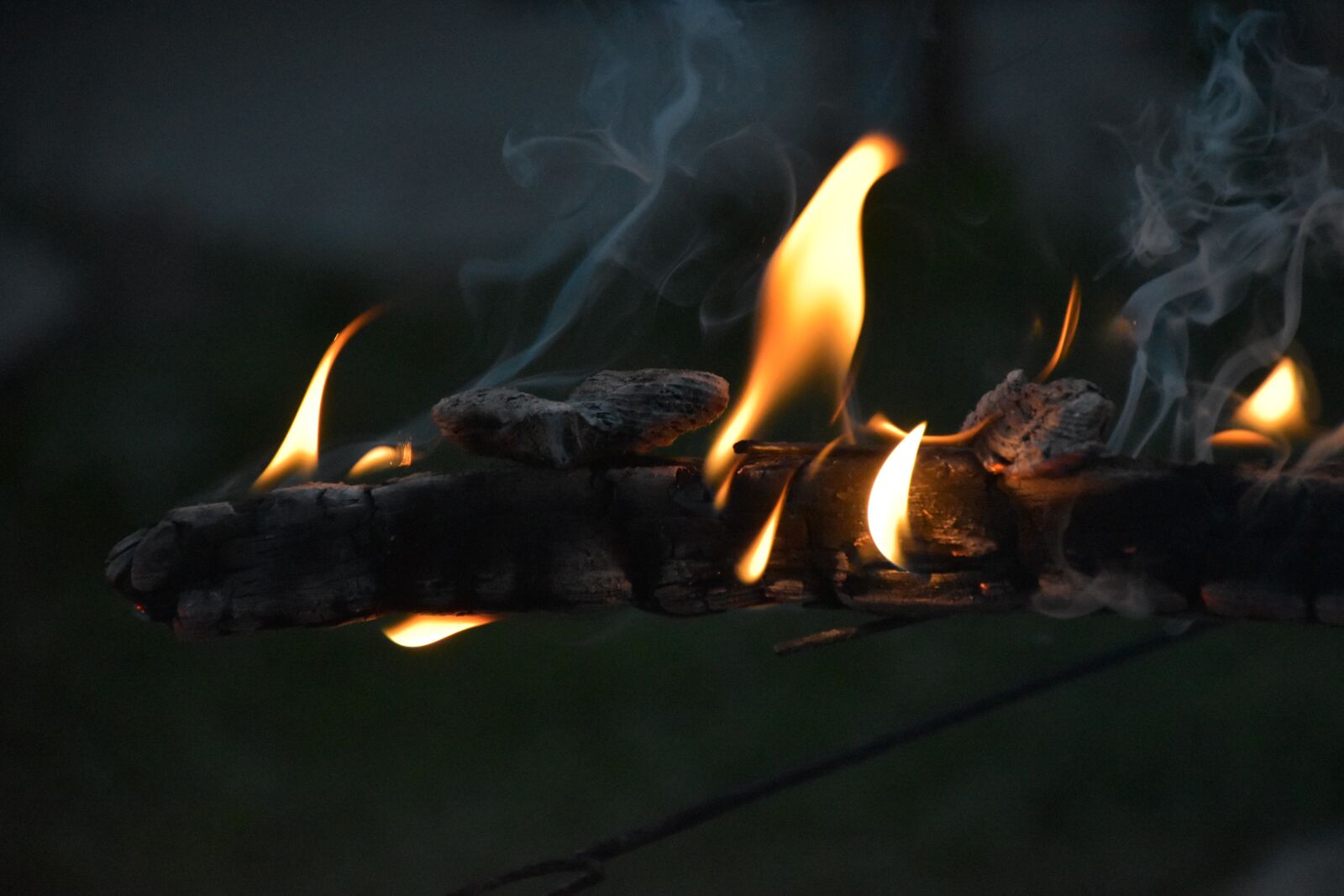 Nikon D5600 sample photo. Fire, burning, embers photography