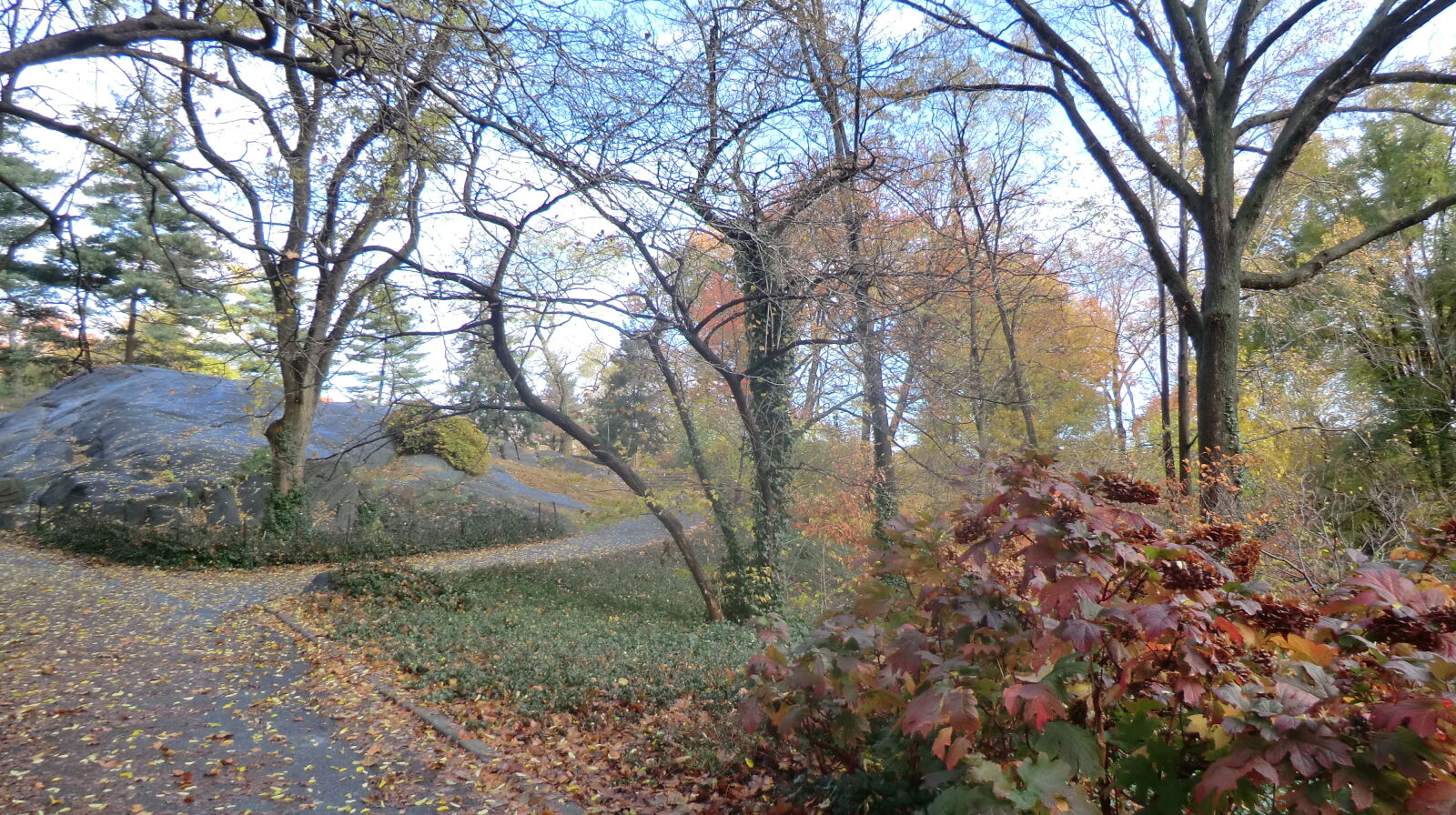 CASIO EX-H5 sample photo. Central, park photography