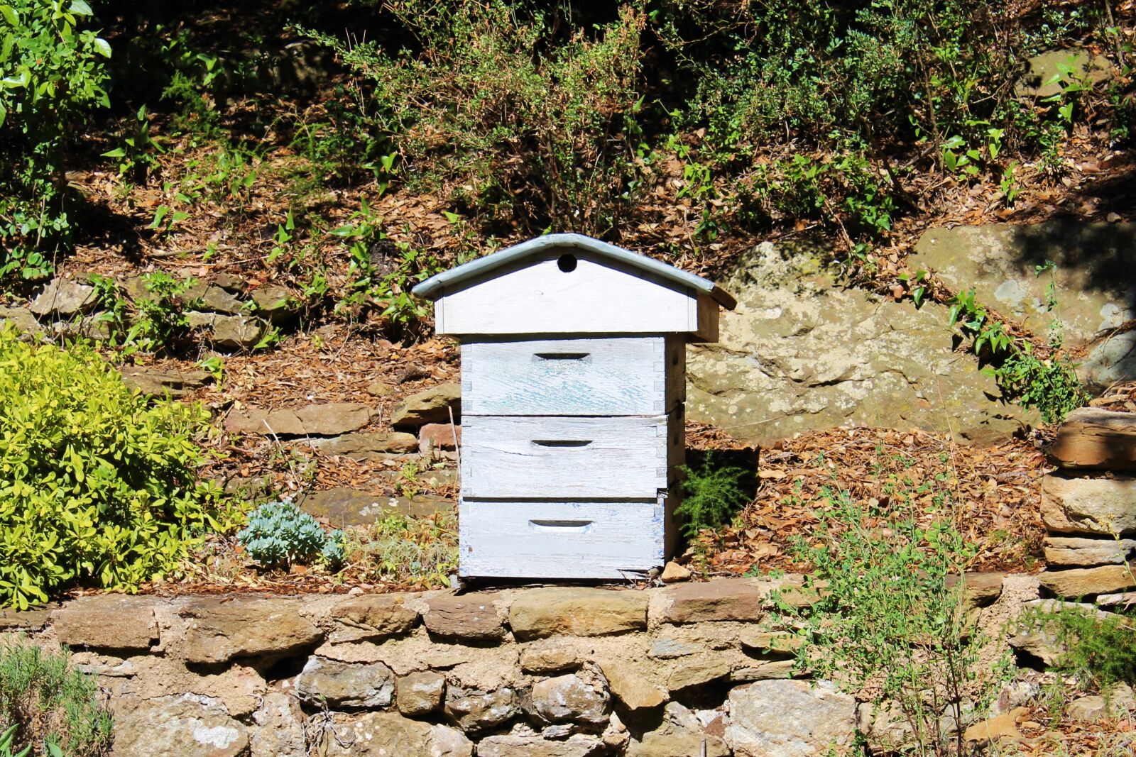 Canon EOS 1200D (EOS Rebel T5 / EOS Kiss X70 / EOS Hi) sample photo. Hive, beekeeping, garden photography
