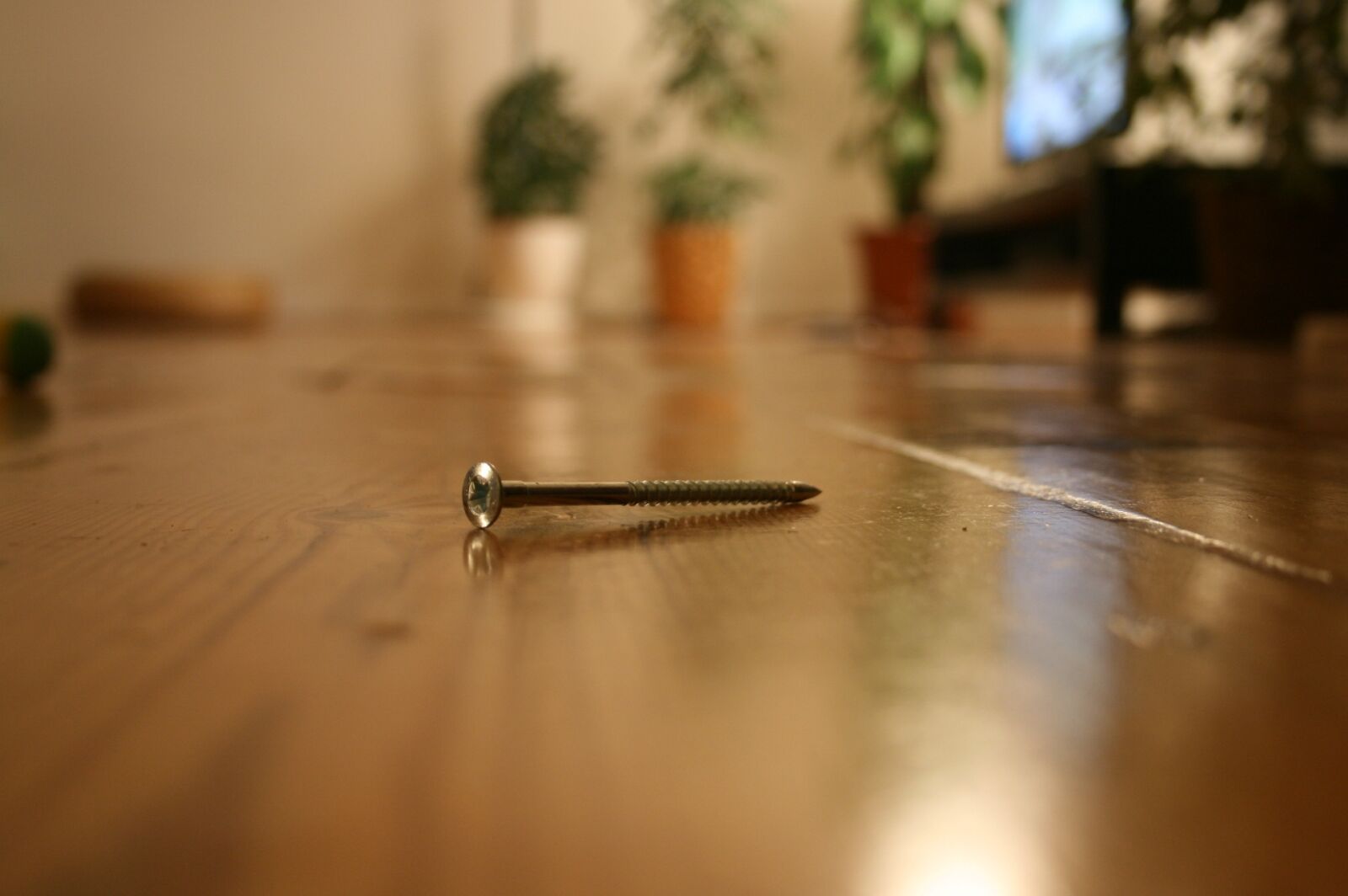 Canon EOS 400D (EOS Digital Rebel XTi / EOS Kiss Digital X) sample photo. Blur, wood, screw photography