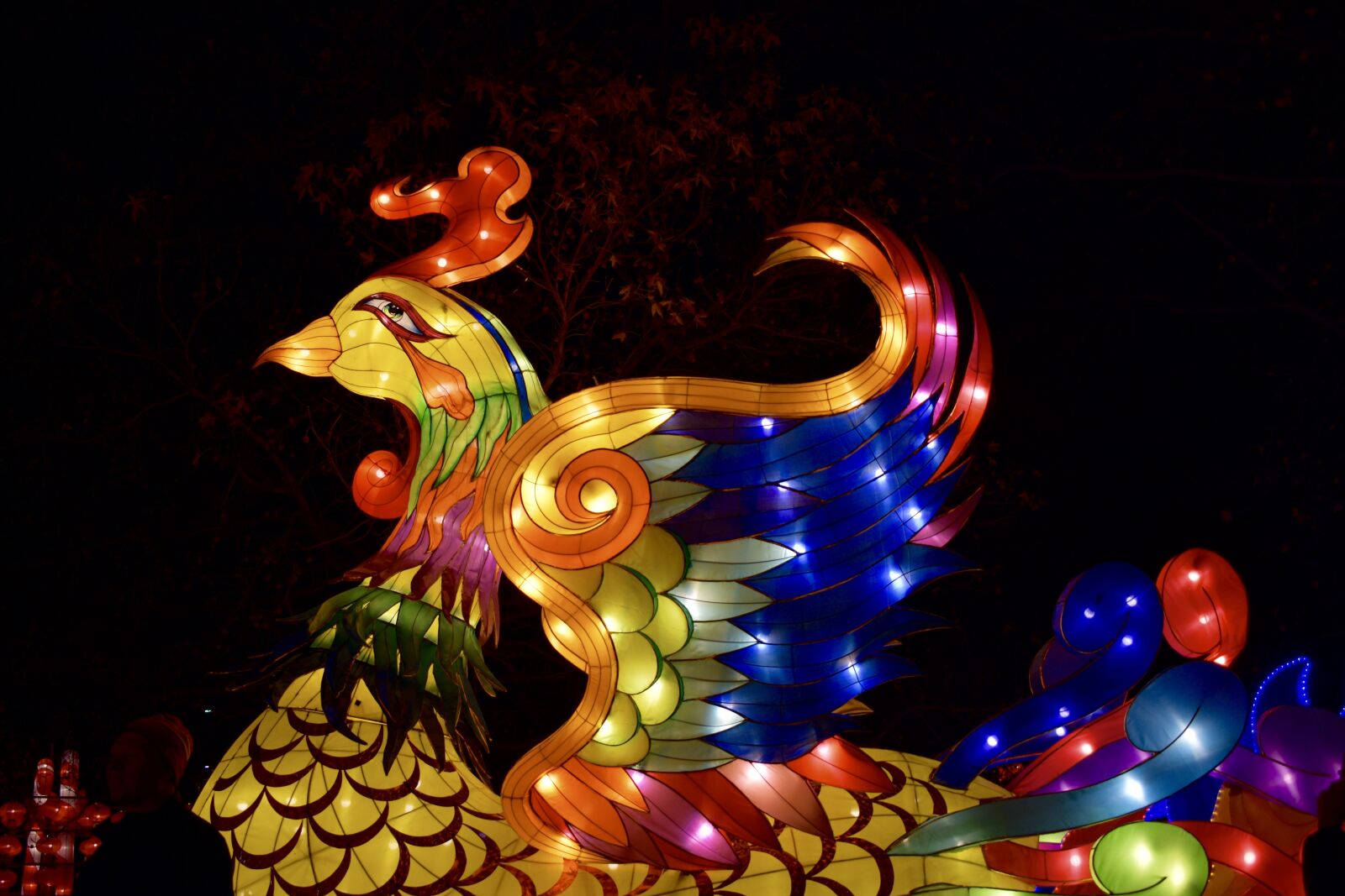 Nikon D3400 sample photo. Phoenix, bird, firebird photography