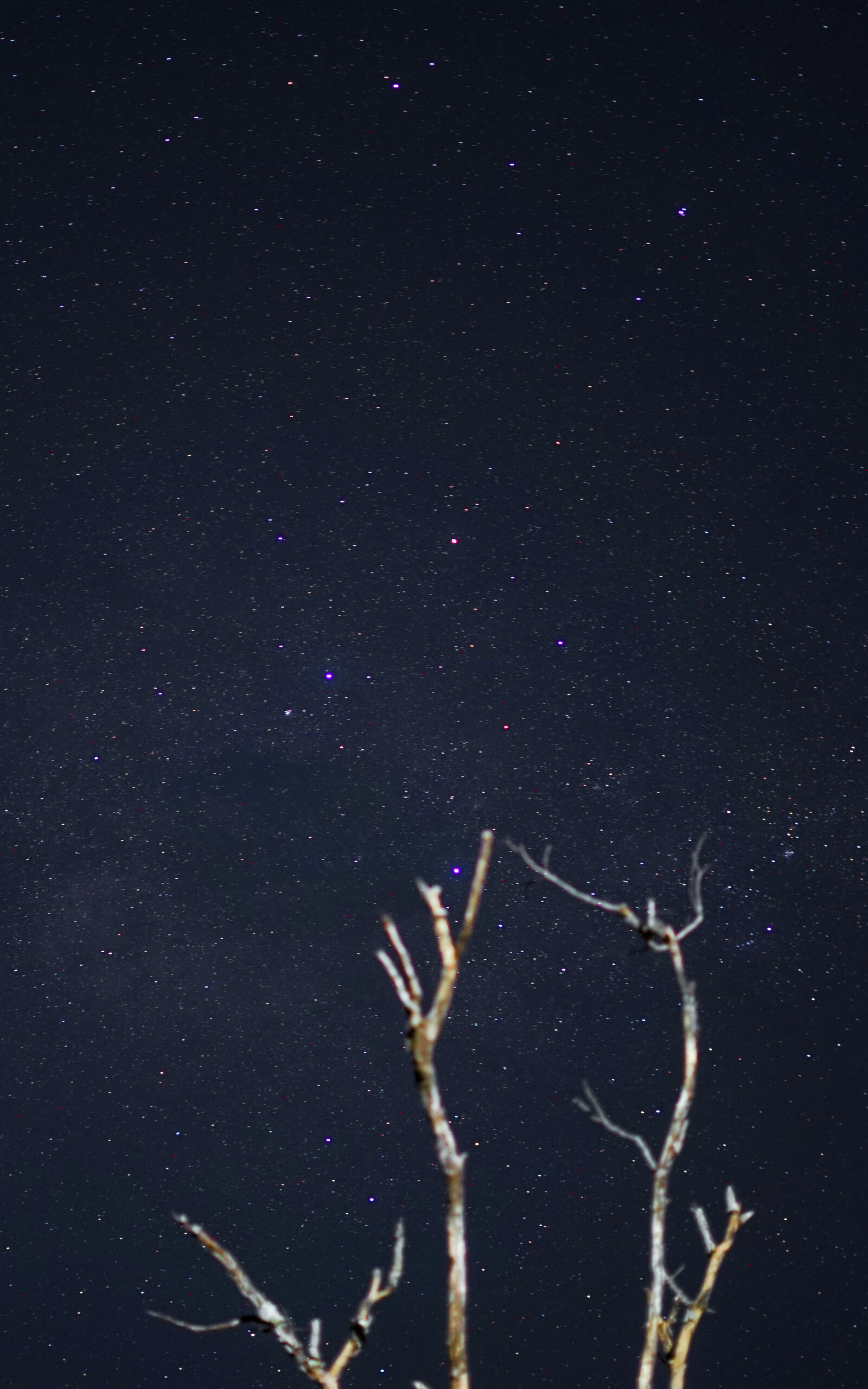 Sony a7 sample photo