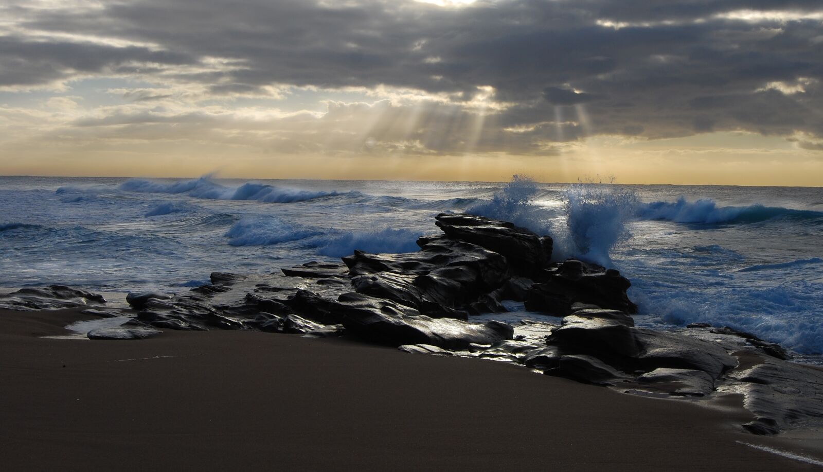 Nikon D60 sample photo. Beach, south africa, dolphin photography