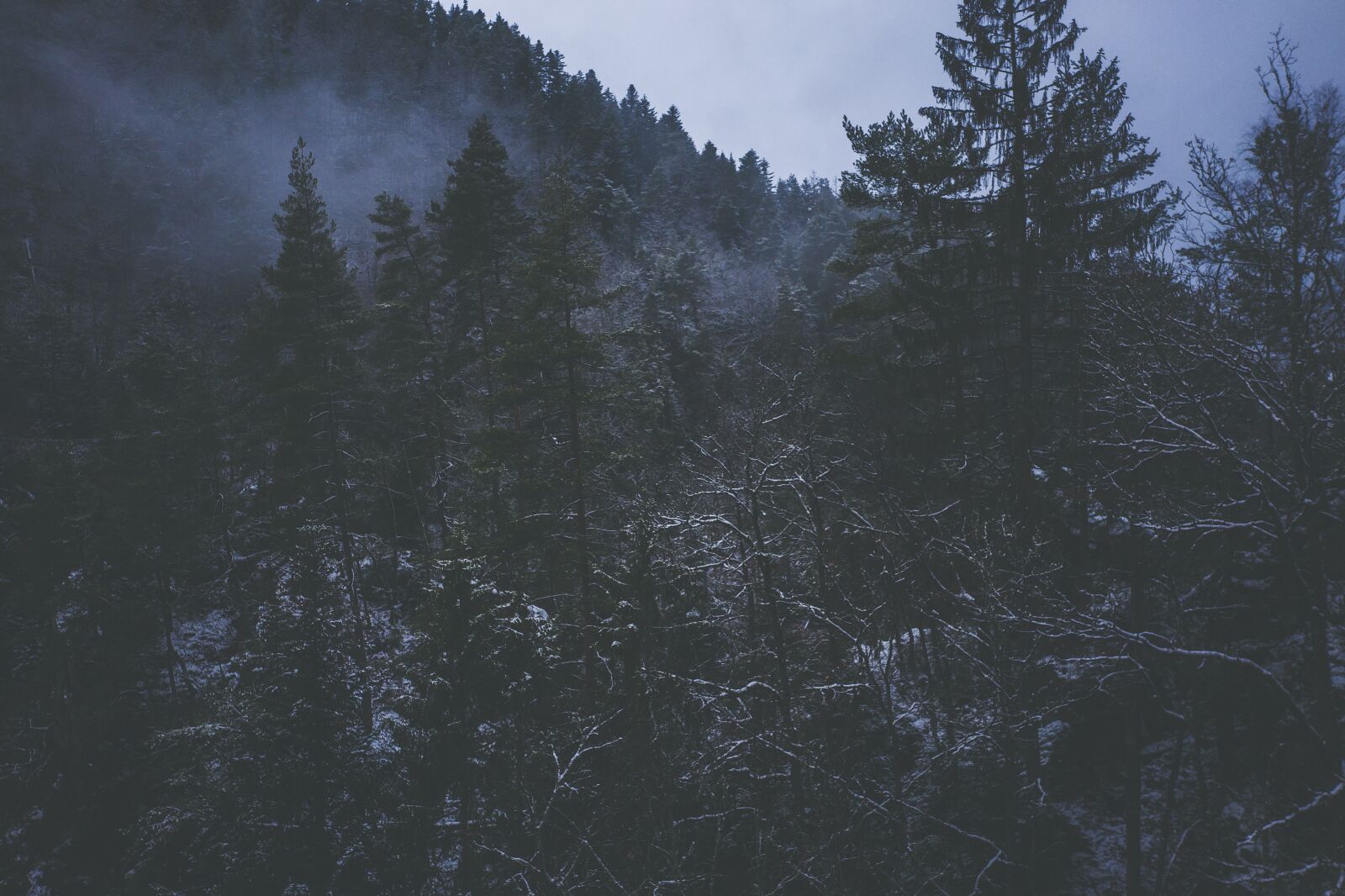 Hasselblad L1D-20c sample photo. Snow, winter, wintry photography