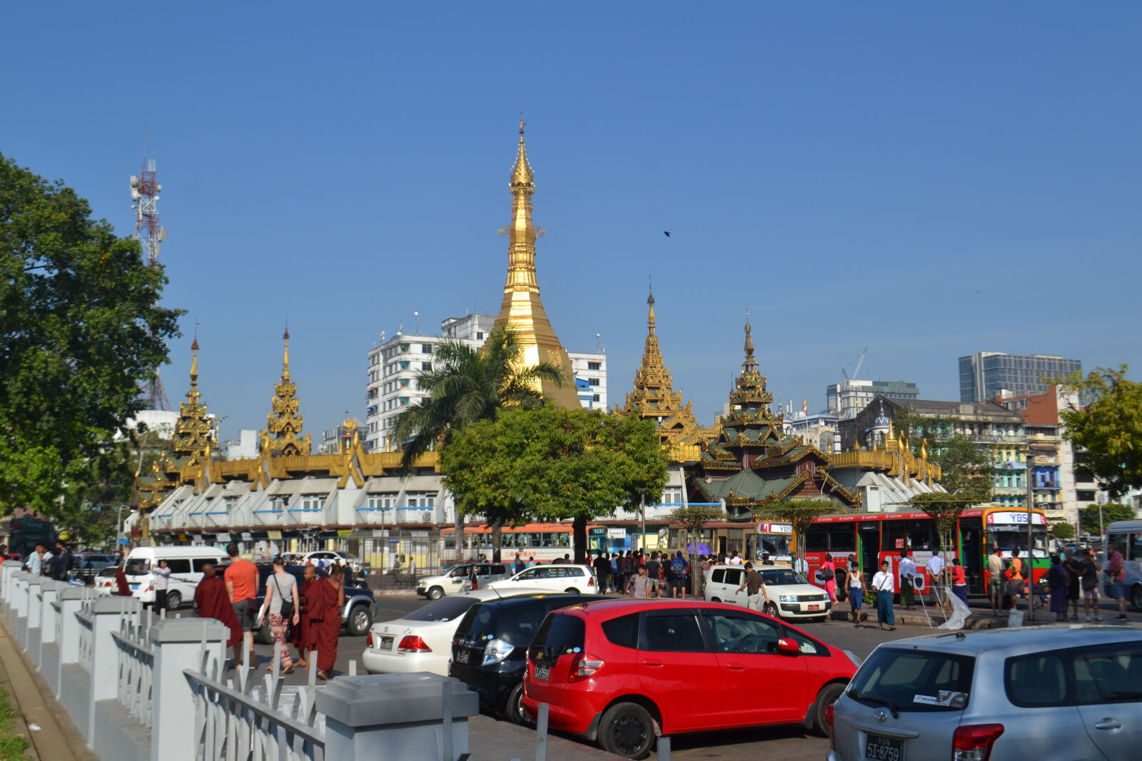 Nikon D3100 sample photo