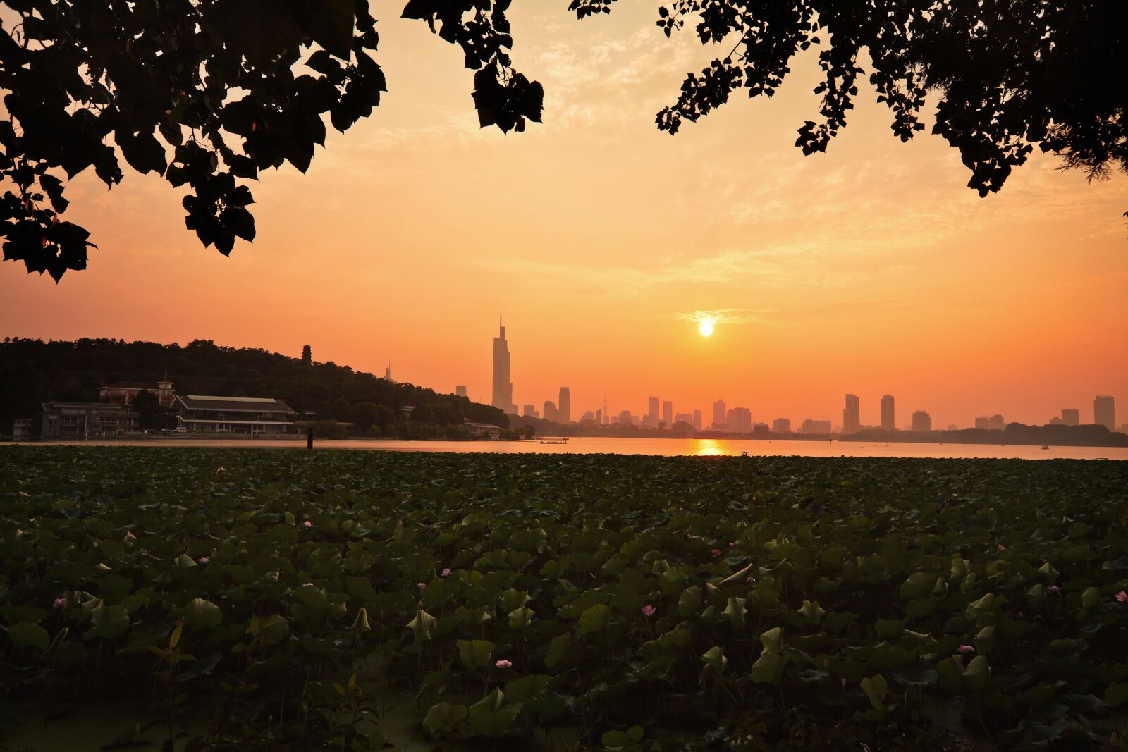 Canon EOS 5D Mark II sample photo. Sunset, tree, dawn photography
