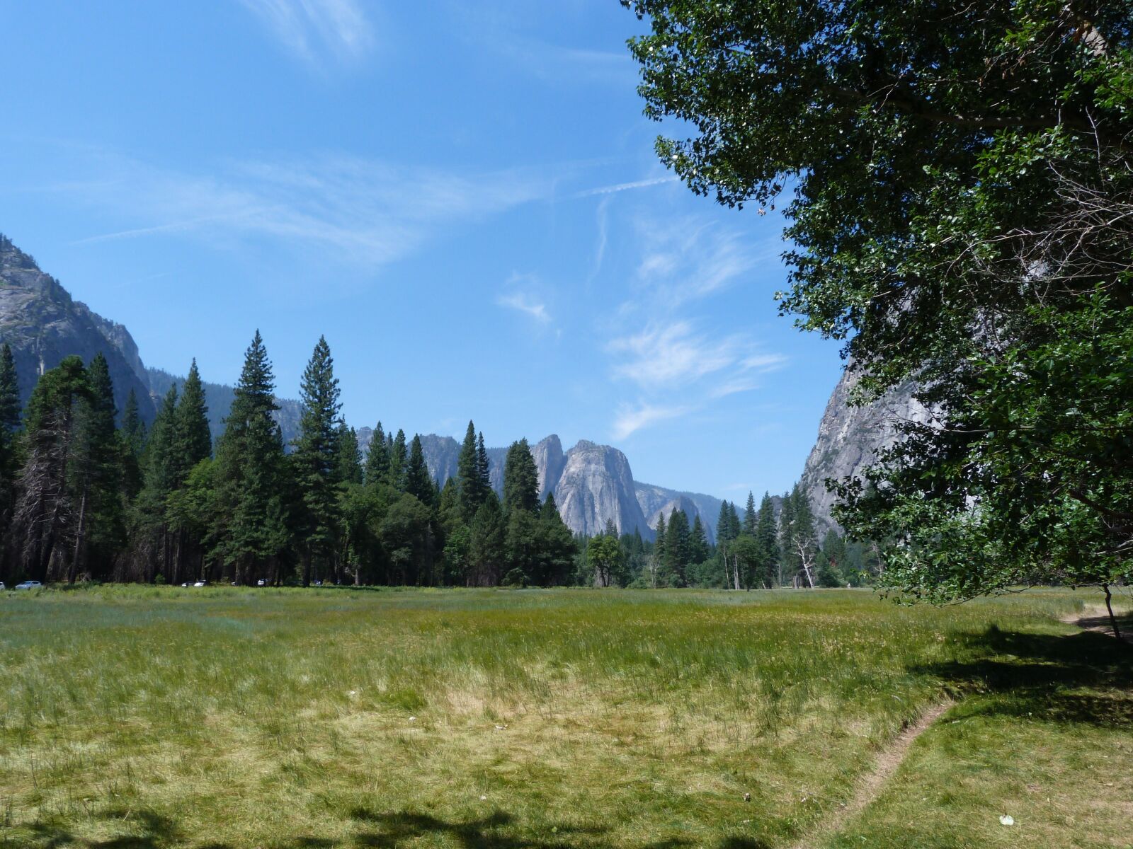 Panasonic Lumix DMC-FZ40 (Lumix DMC-FZ45) sample photo. Park, yosemite, usa photography