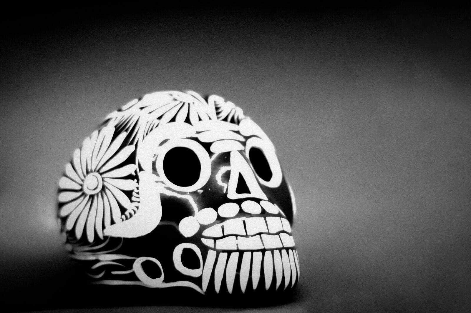 Nikon D3200 sample photo. Day of the dead photography