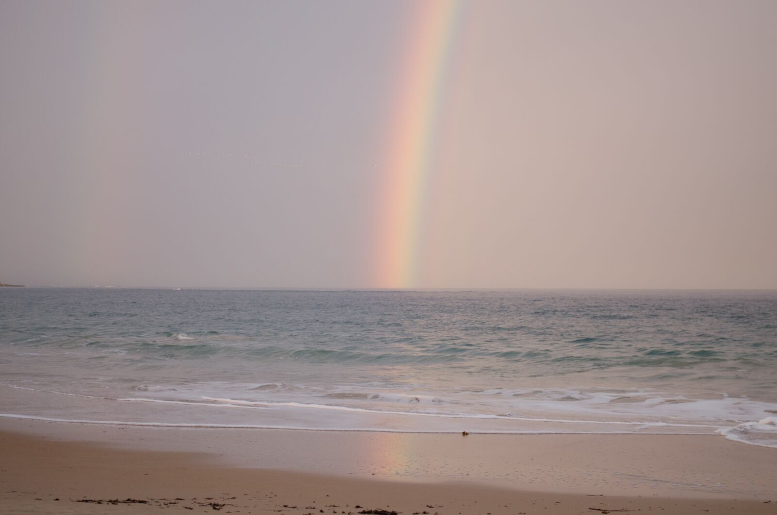 Nikon D5100 sample photo. Rainbow, ocean, soft pink photography