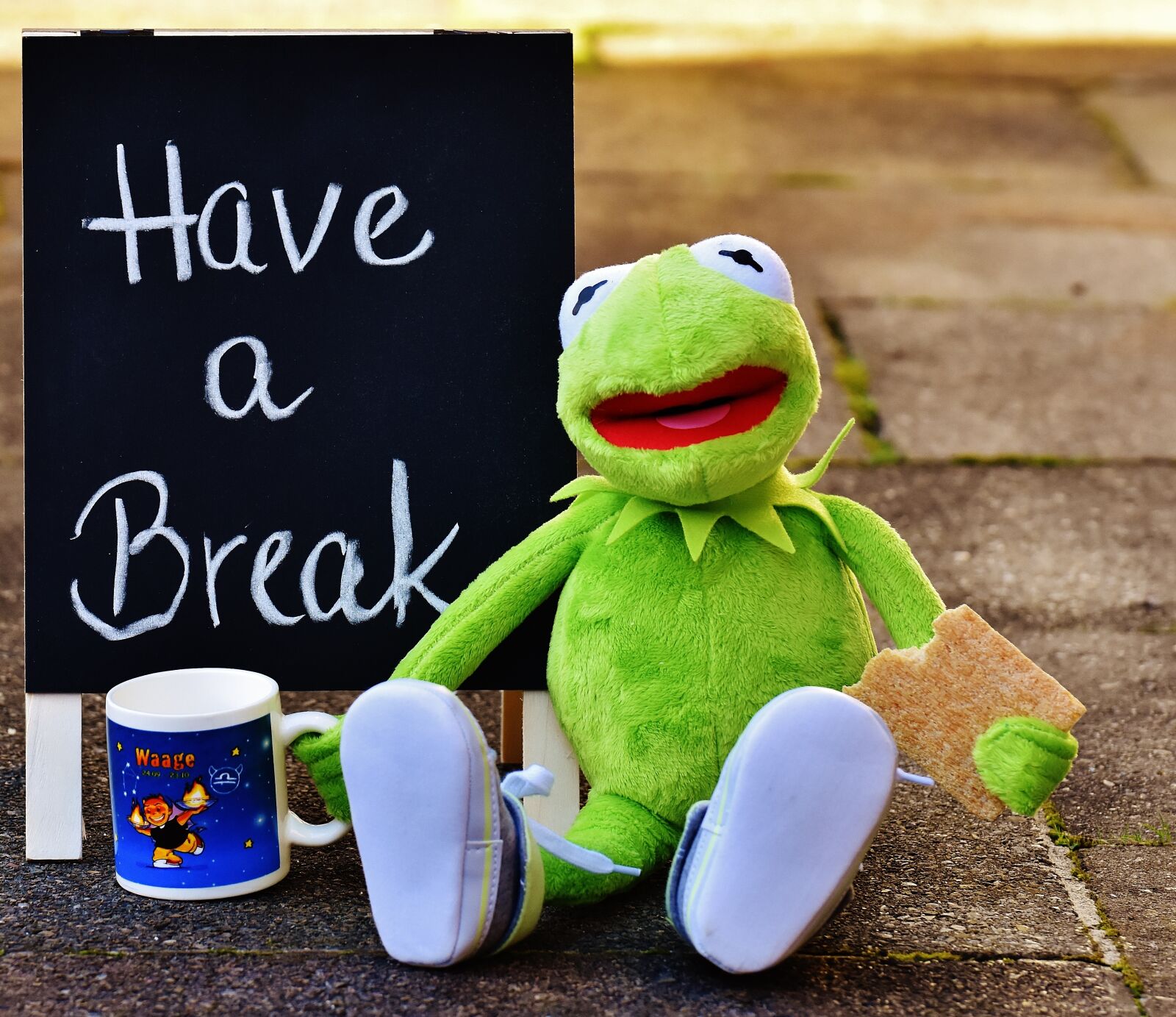 Nikon D7200 sample photo. Kermit, cup, drink coffee photography