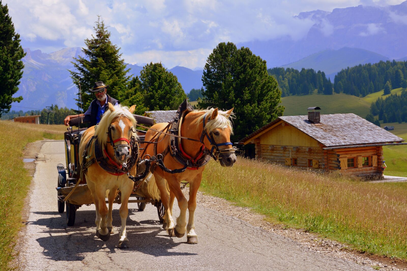 Nikon D7100 sample photo. Horse, carrozza, animals photography