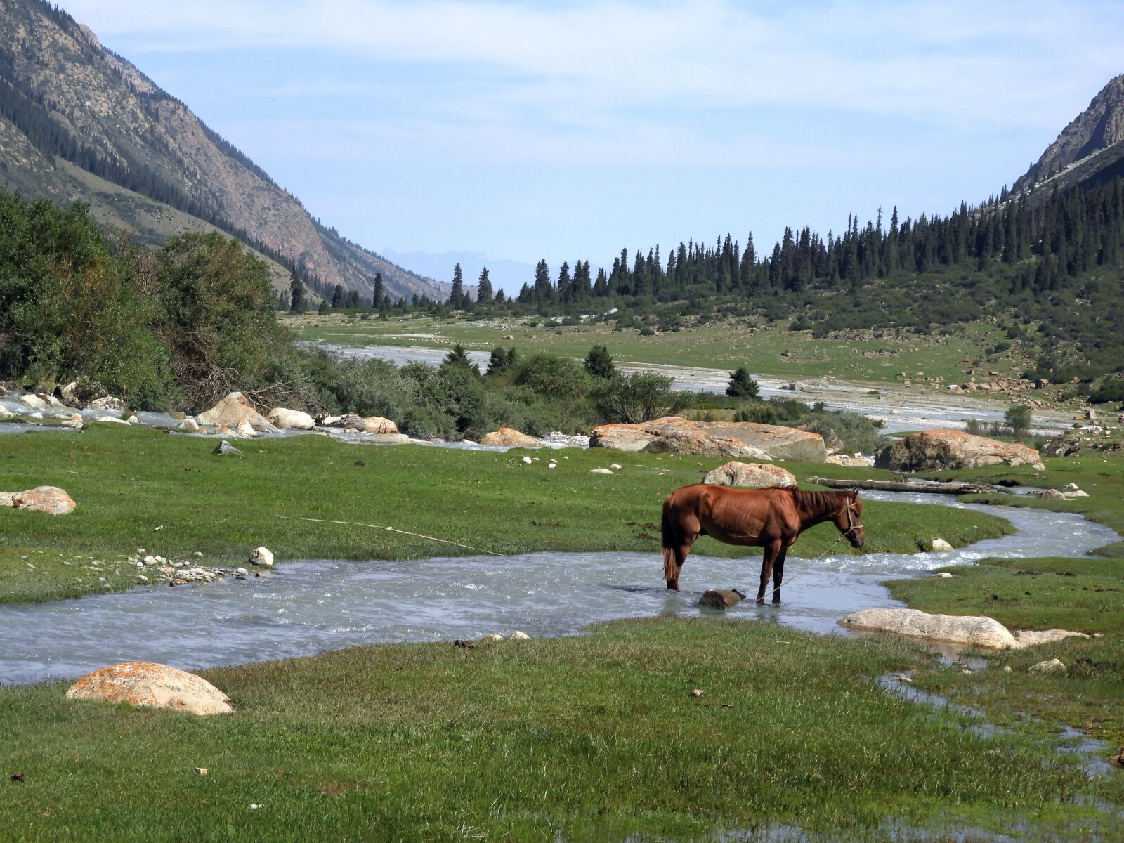 Nikon Coolpix B700 sample photo. Mountains, alpine meadow, pasture photography