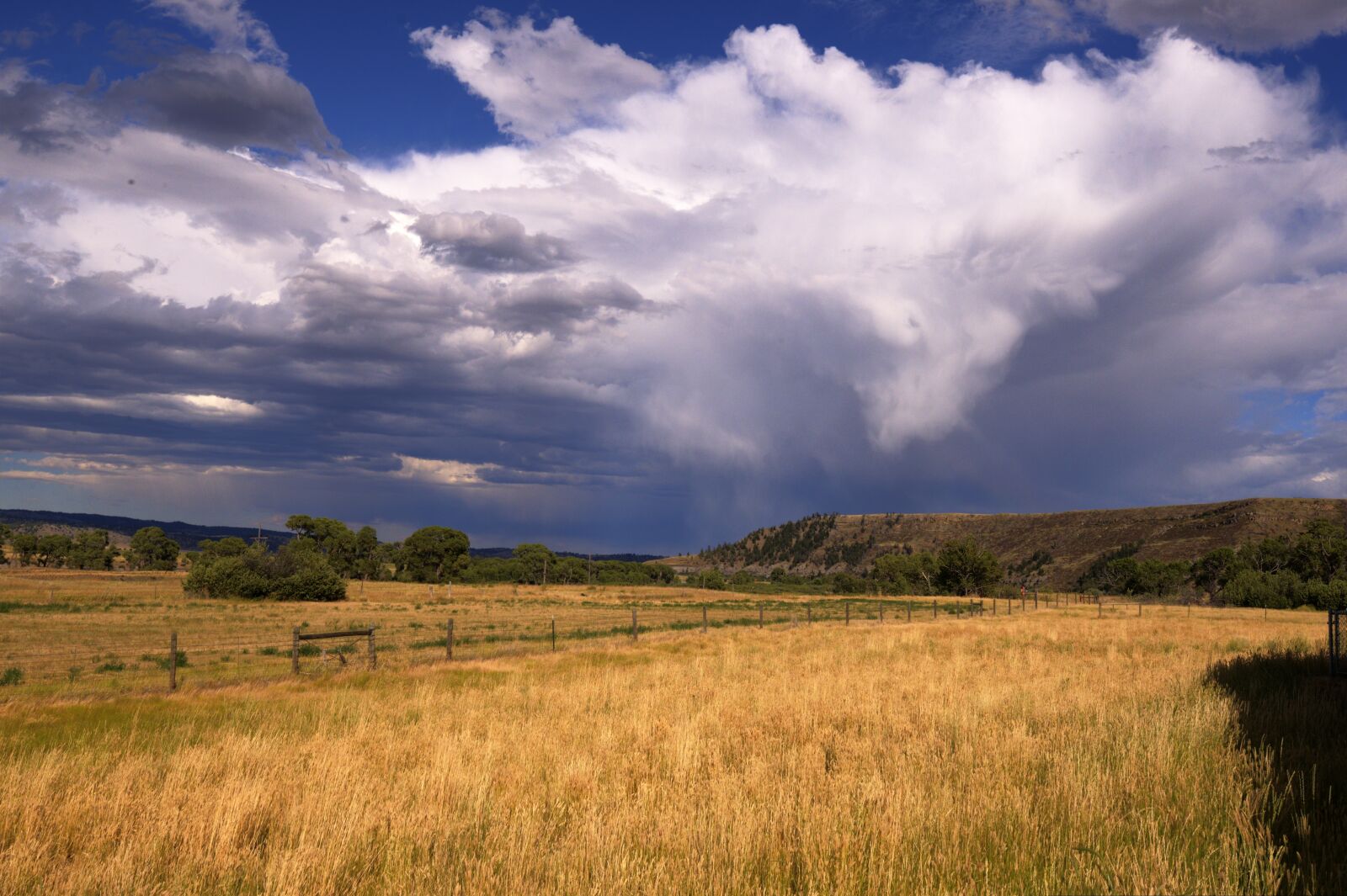 Nikon D600 sample photo. Panoramic, nature, landscape photography