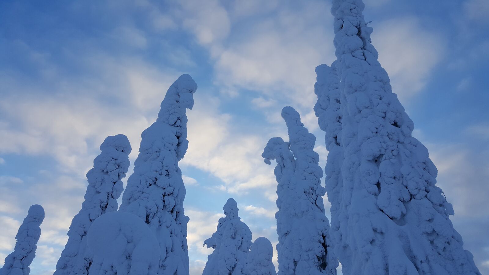Samsung Galaxy S6 sample photo. Winter, tree, snow photography