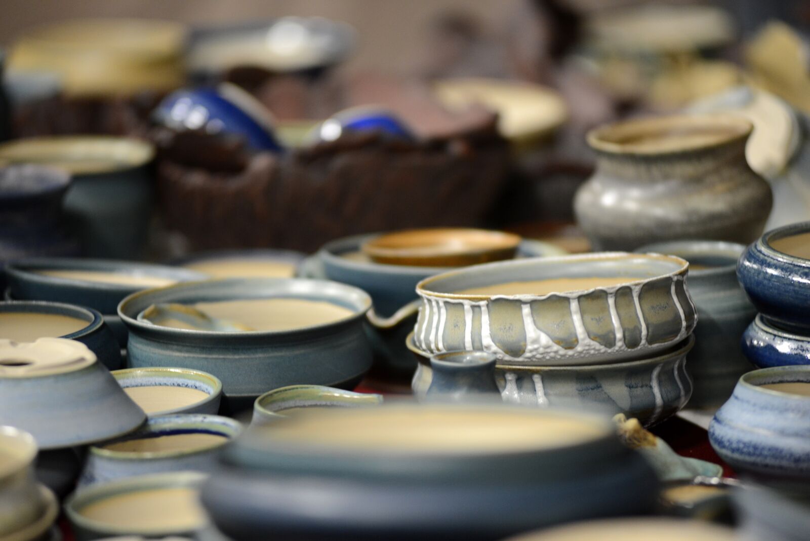 Nikon D800 sample photo. Bonsai pot, bonsai, shell photography