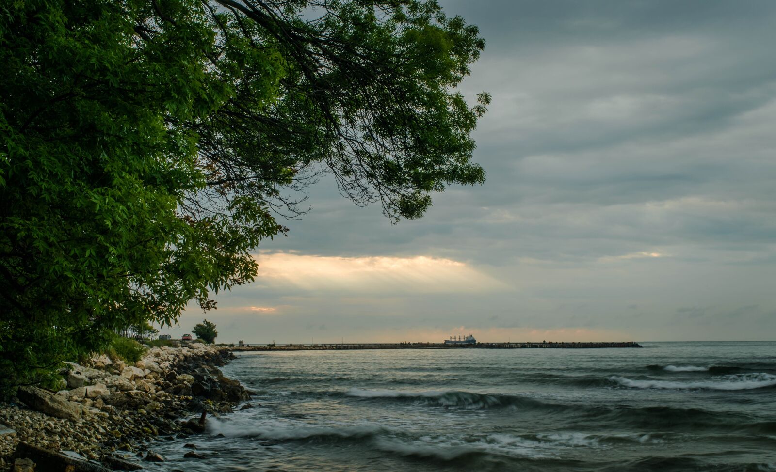 Nikon D3300 sample photo. Ocean, tree, beach photography
