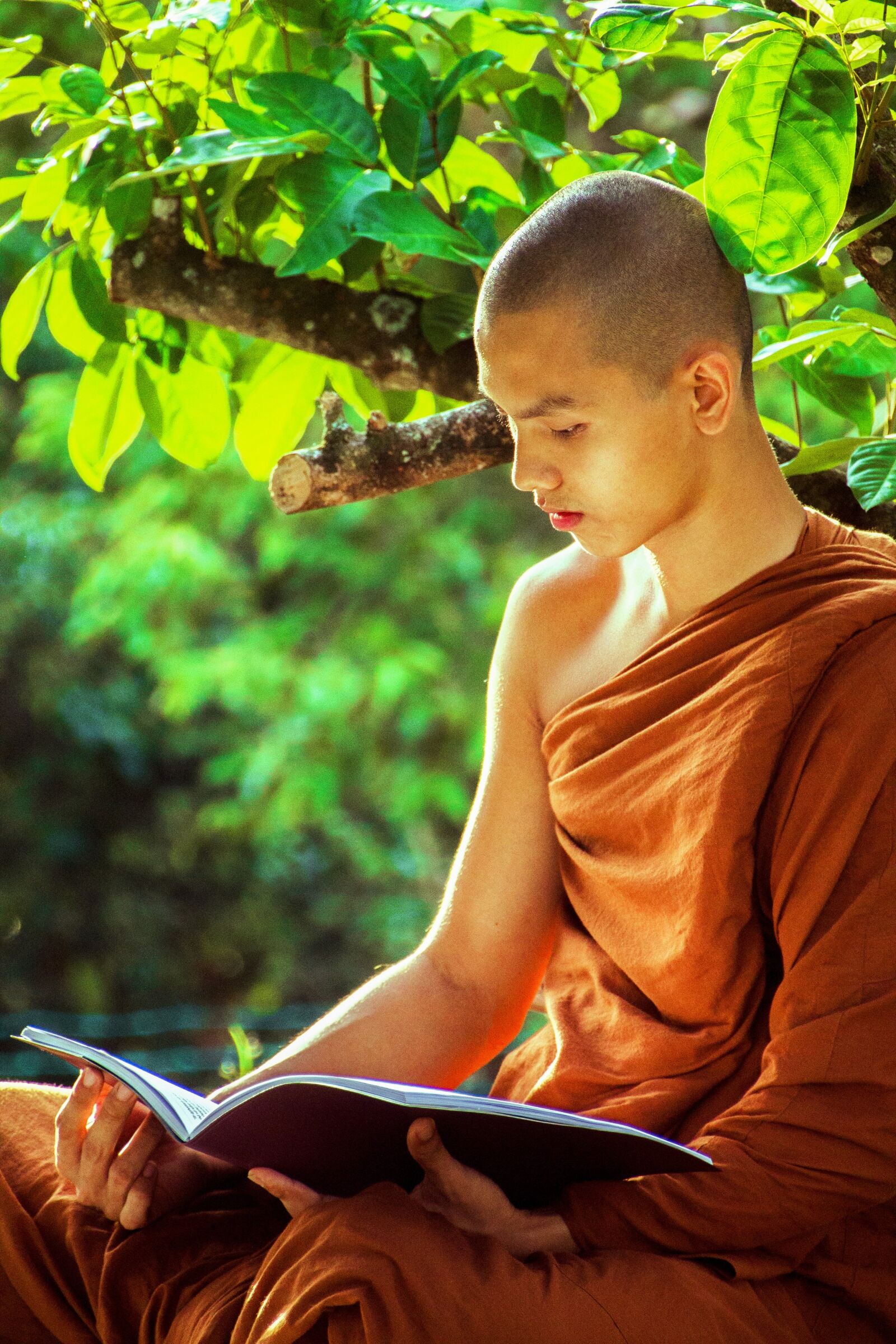 Canon EOS 1100D (EOS Rebel T3 / EOS Kiss X50) sample photo. Theravada monk, buddhist, religion photography