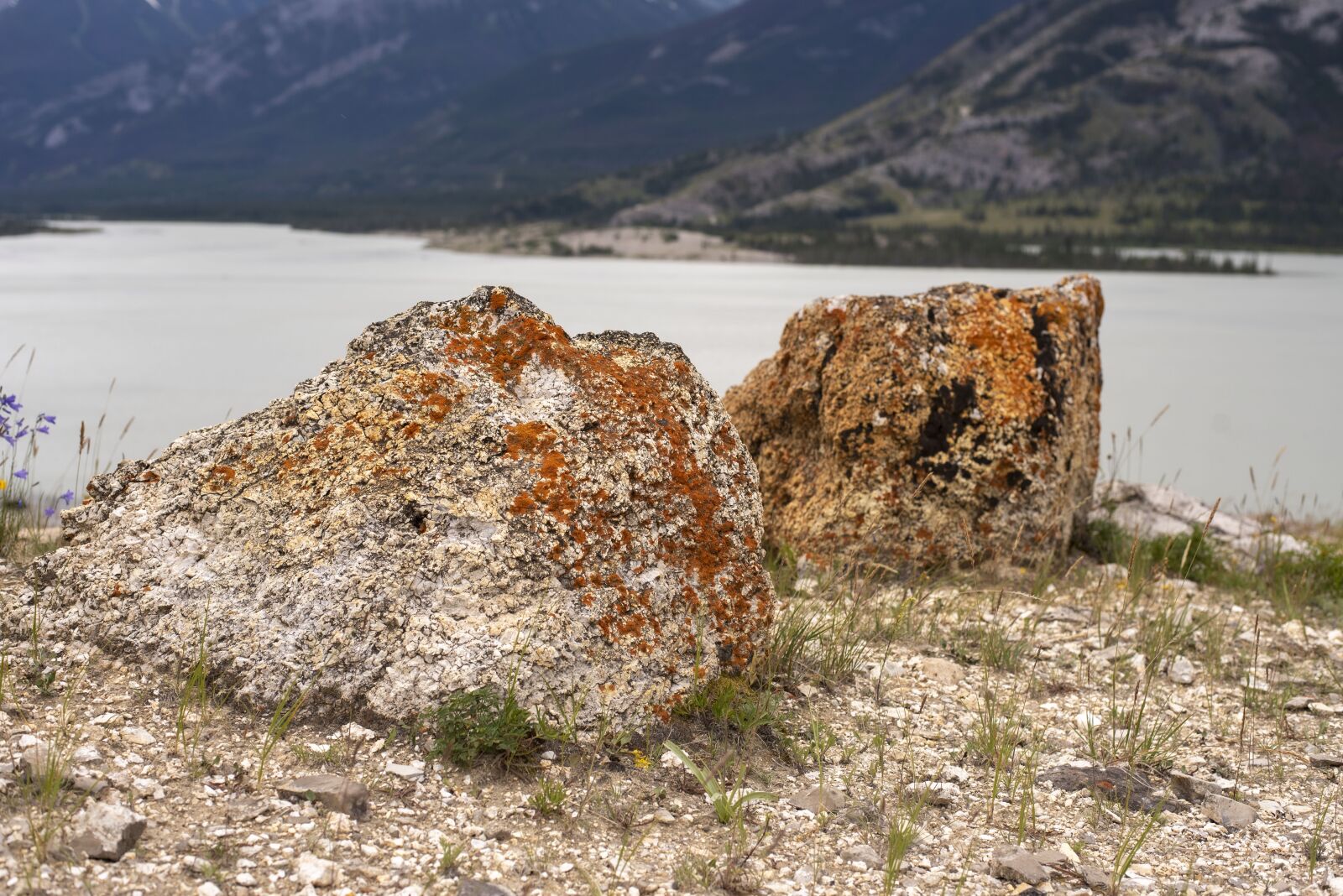 Nikon D750 sample photo. Rocks, lake, rock photography