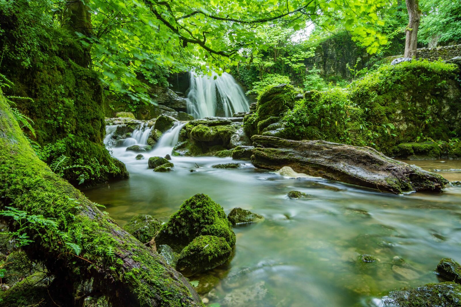 Nikon D7100 sample photo. Wood, landscape, stream, water photography