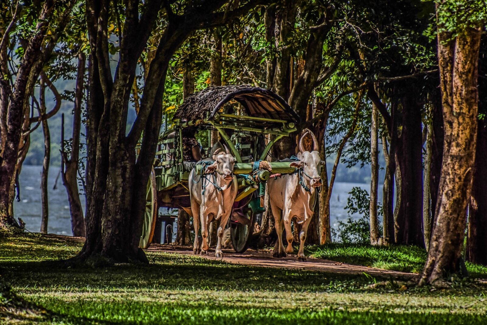 Nikon D5300 sample photo. Nature, travel, tourism photography