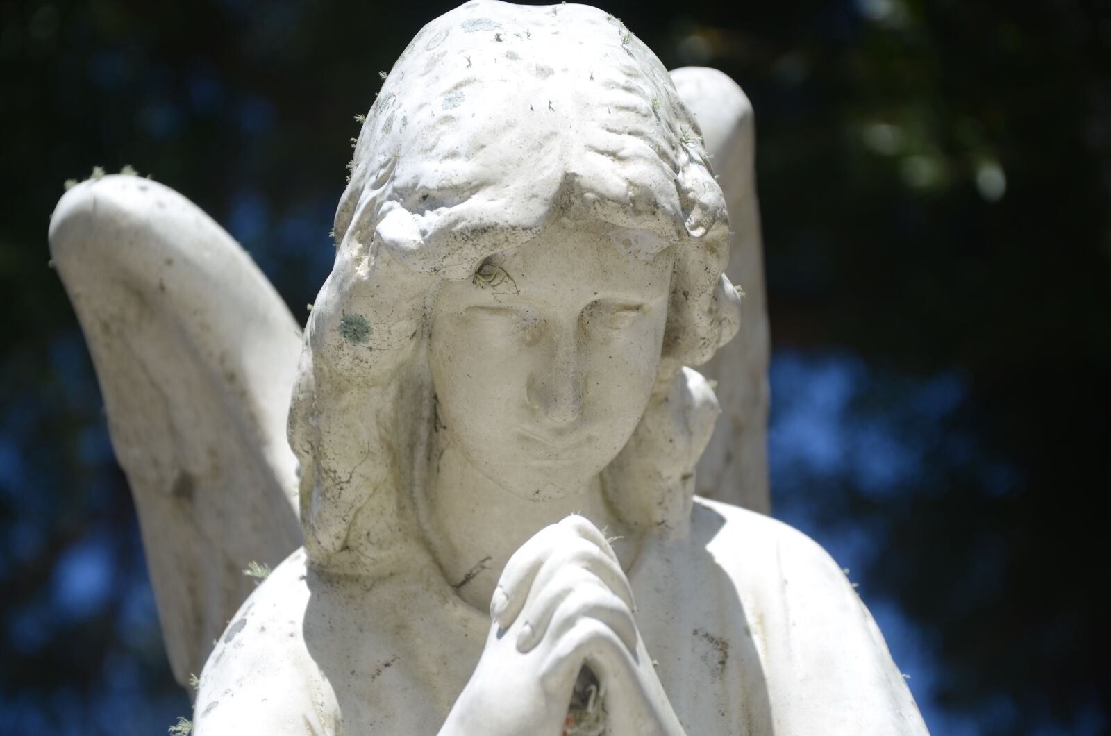 Nikon D7000 sample photo. Religious, angel, cemetery photography