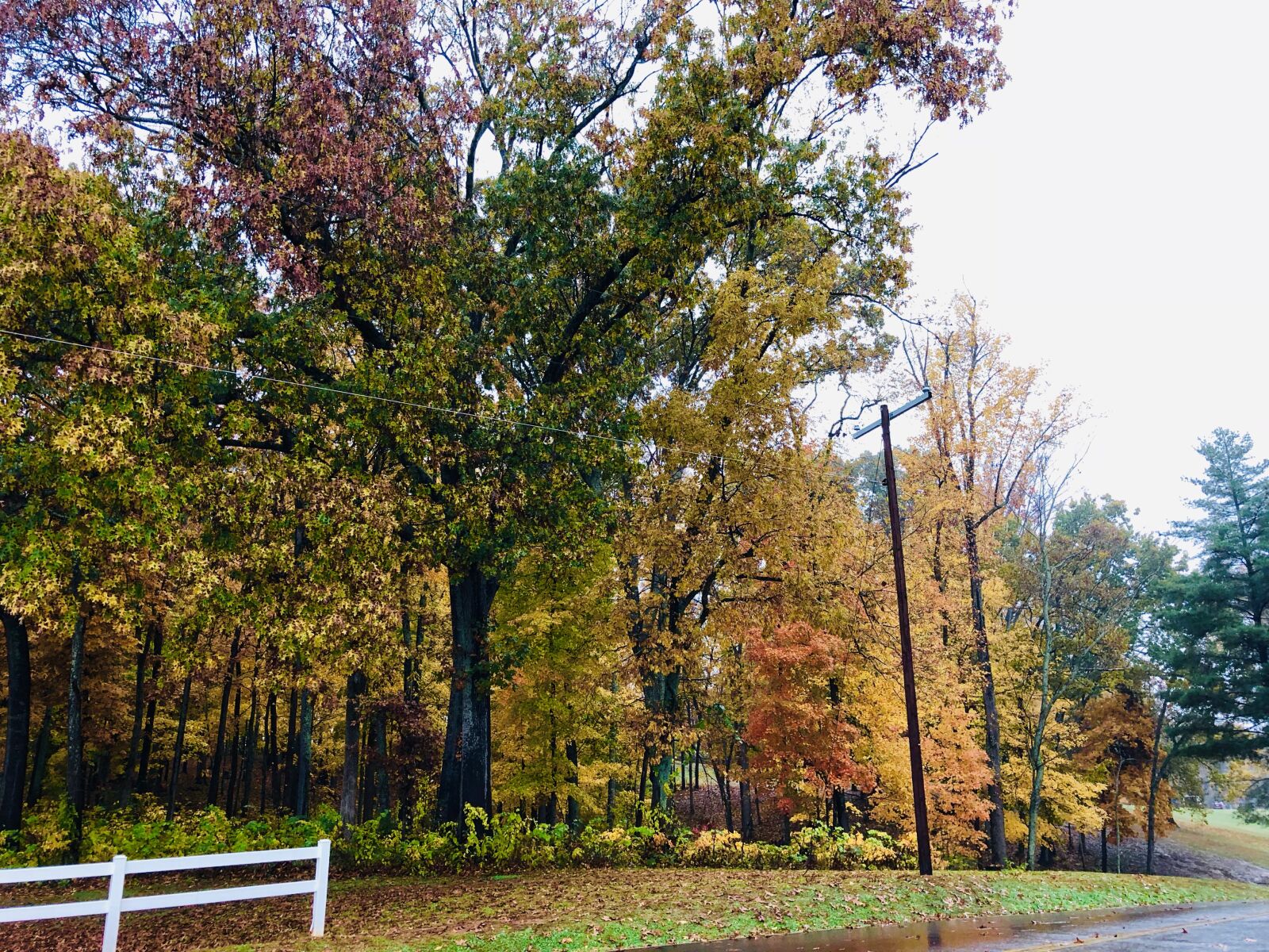 iPhone 8 Plus back dual camera 3.99mm f/1.8 sample photo. Morristown tn, cherokee park photography