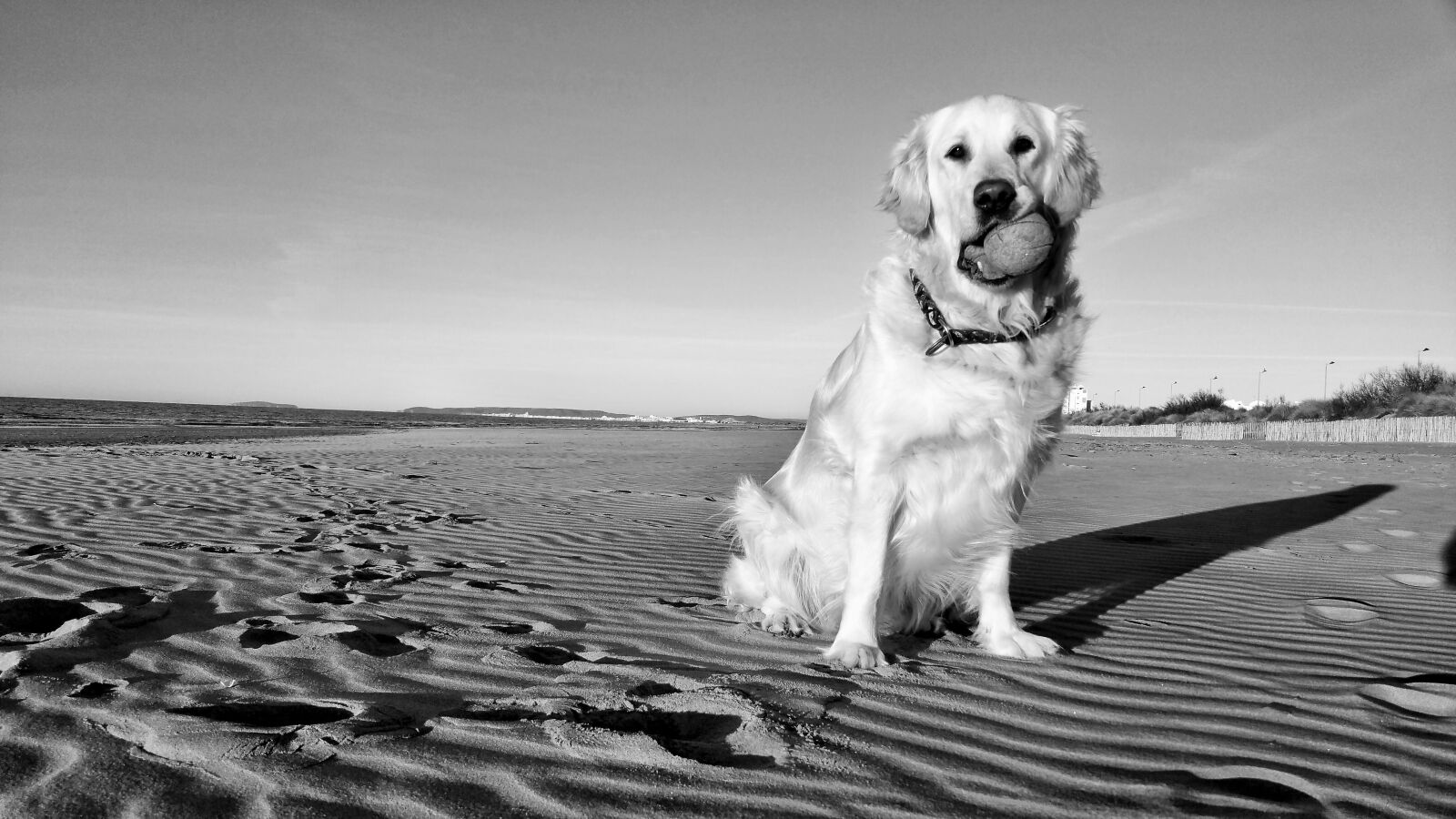 Samsung Galaxy Note4 sample photo. Black and white, beach photography