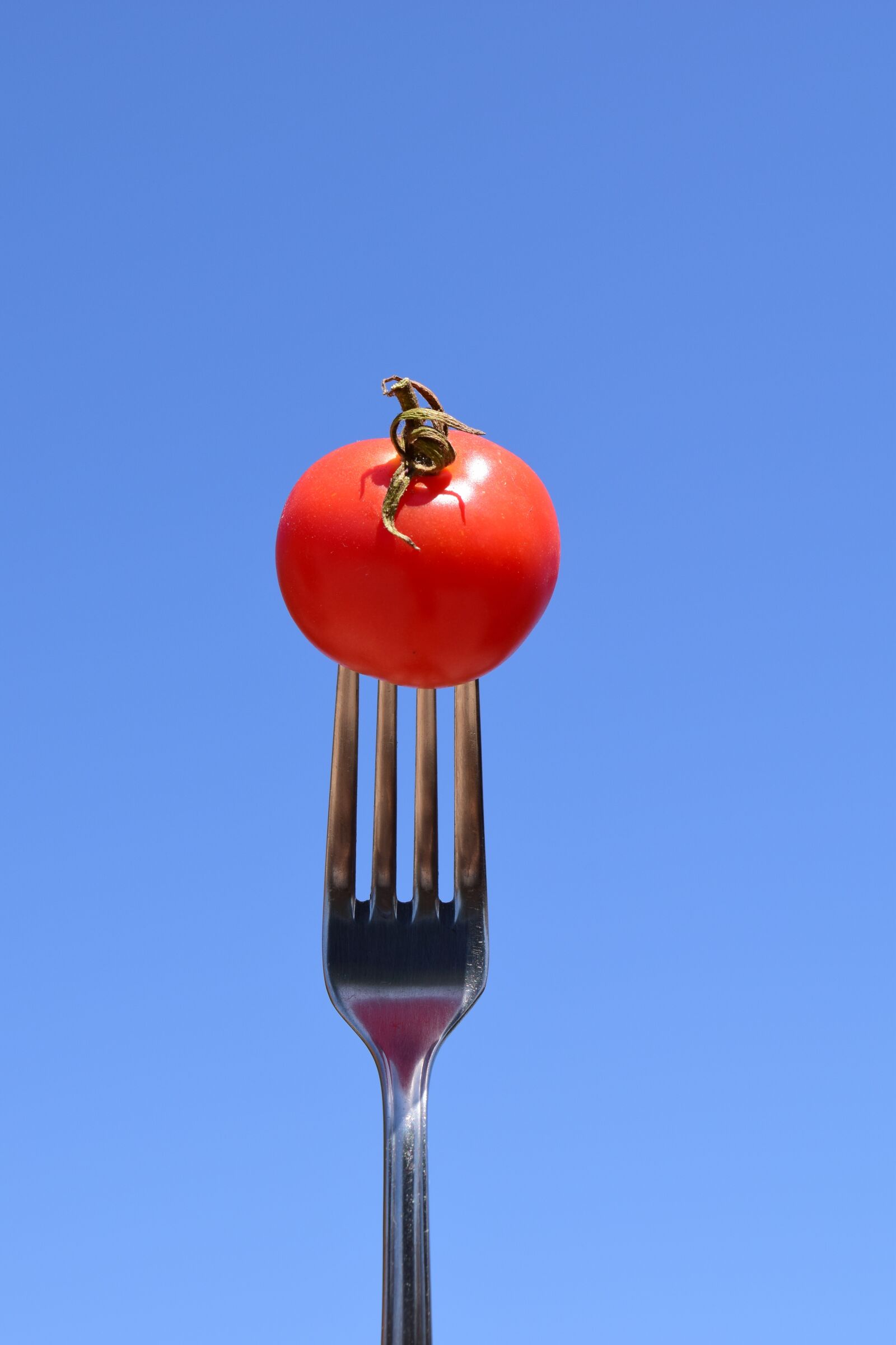 Nikon D3300 sample photo. Tomato, fork, eat photography